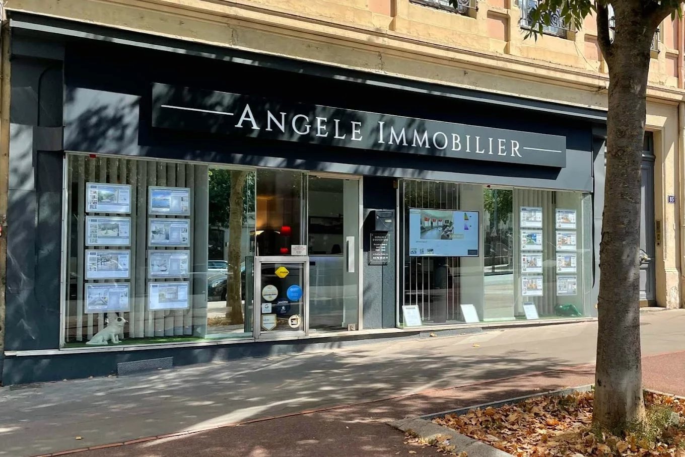 Angele Immobilier