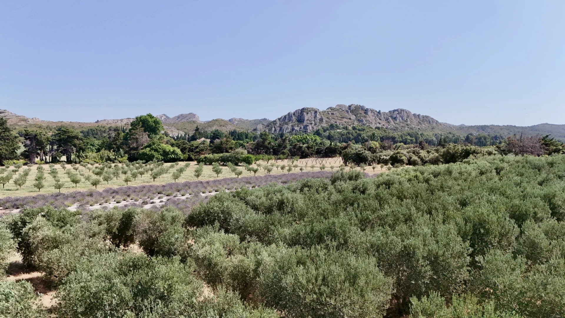 Daniel Féau Provence - Luberon & Alpilles