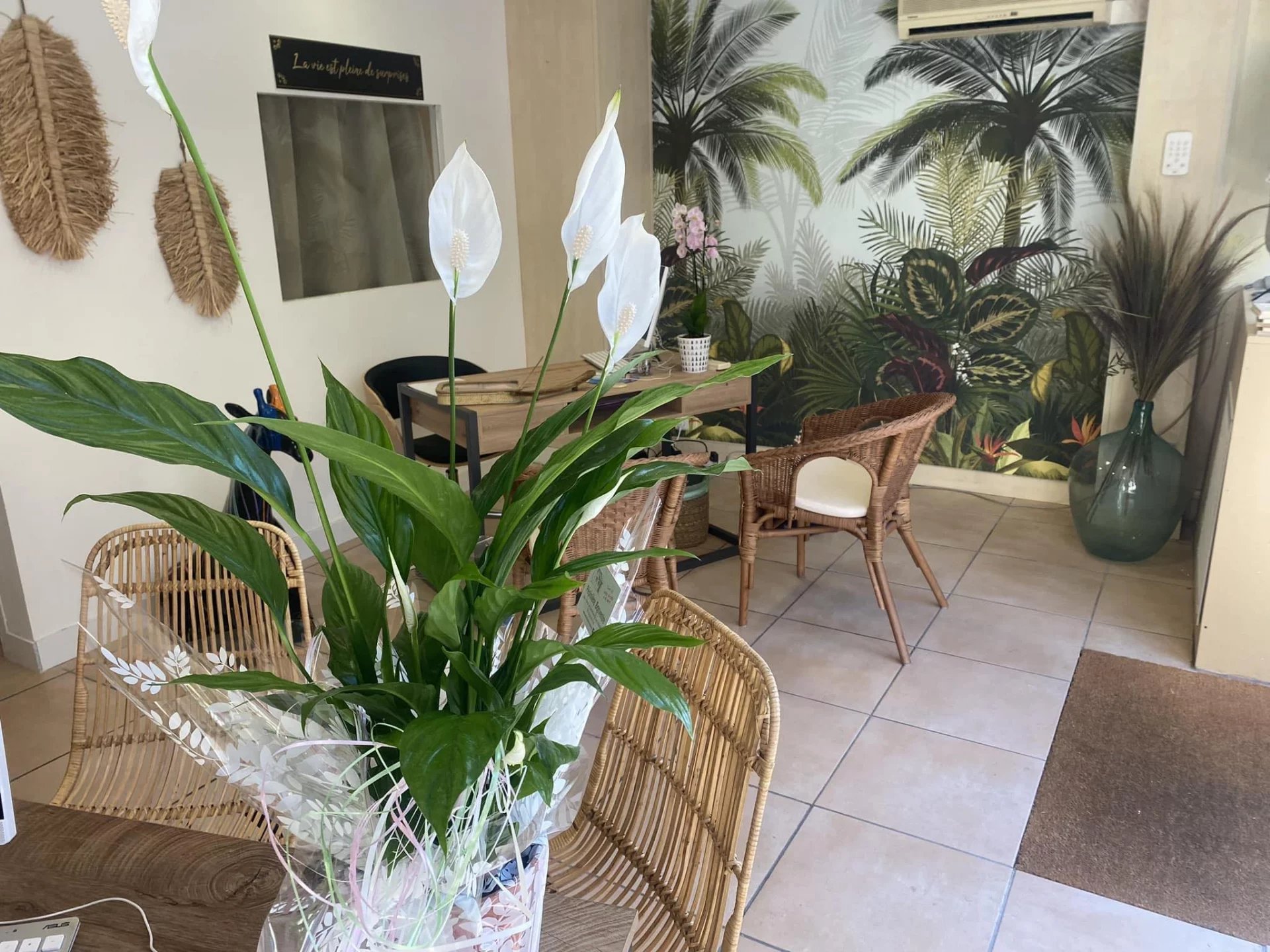 IMMO DE PRESTIGE IMMO DE PRESTIGE