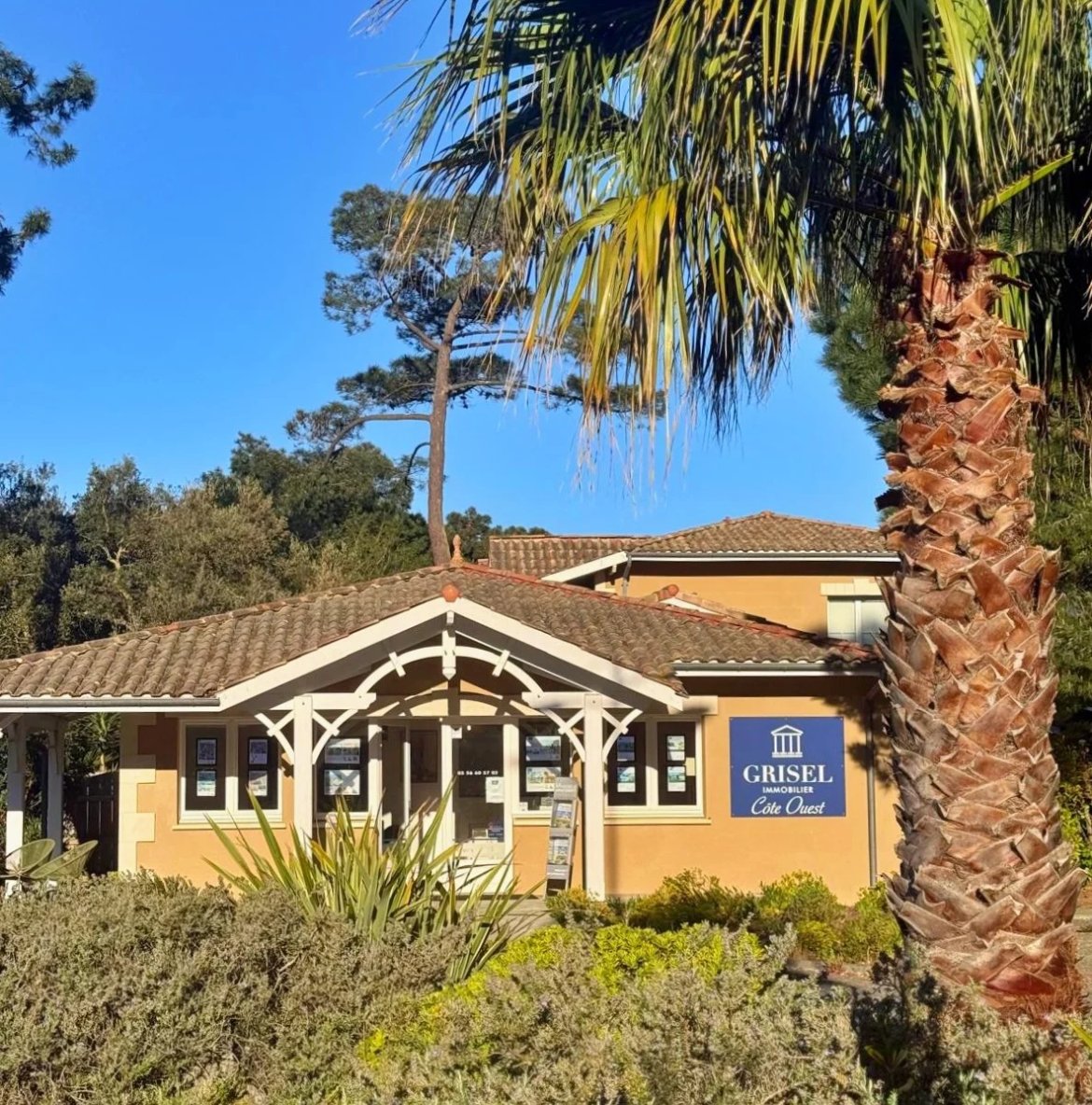 Grisel Côte Ouest Cap Ferret Grisel Côte Ouest Cap Ferret