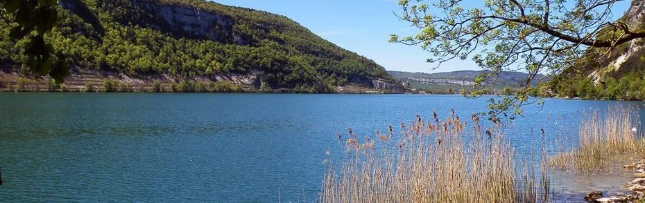 Régie Immobilière Du Haut Bugey