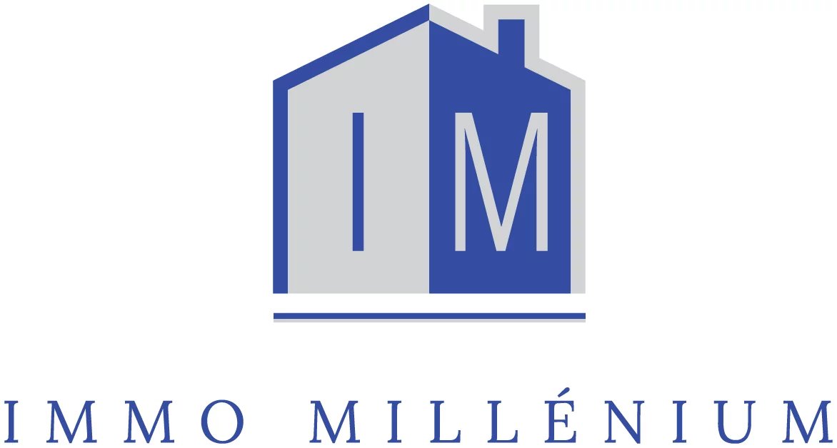 IMMO MILLÉNIUM SARL