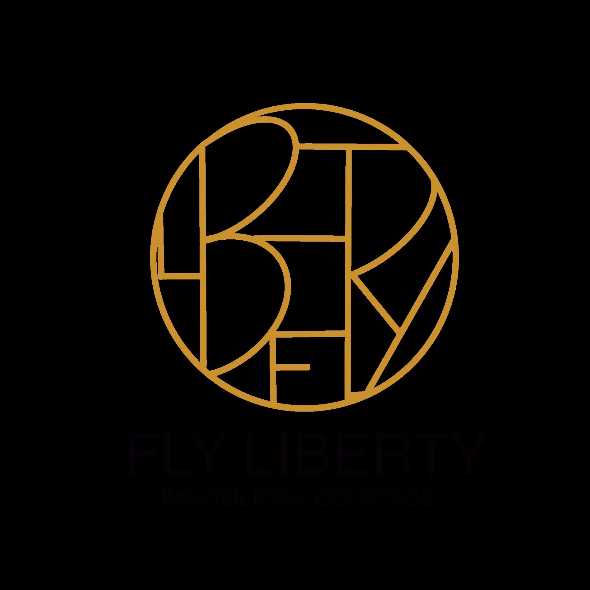 Fly Liberty Fly Liberty