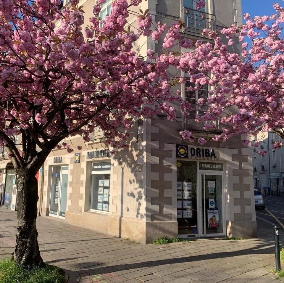 Oriba Nantes
