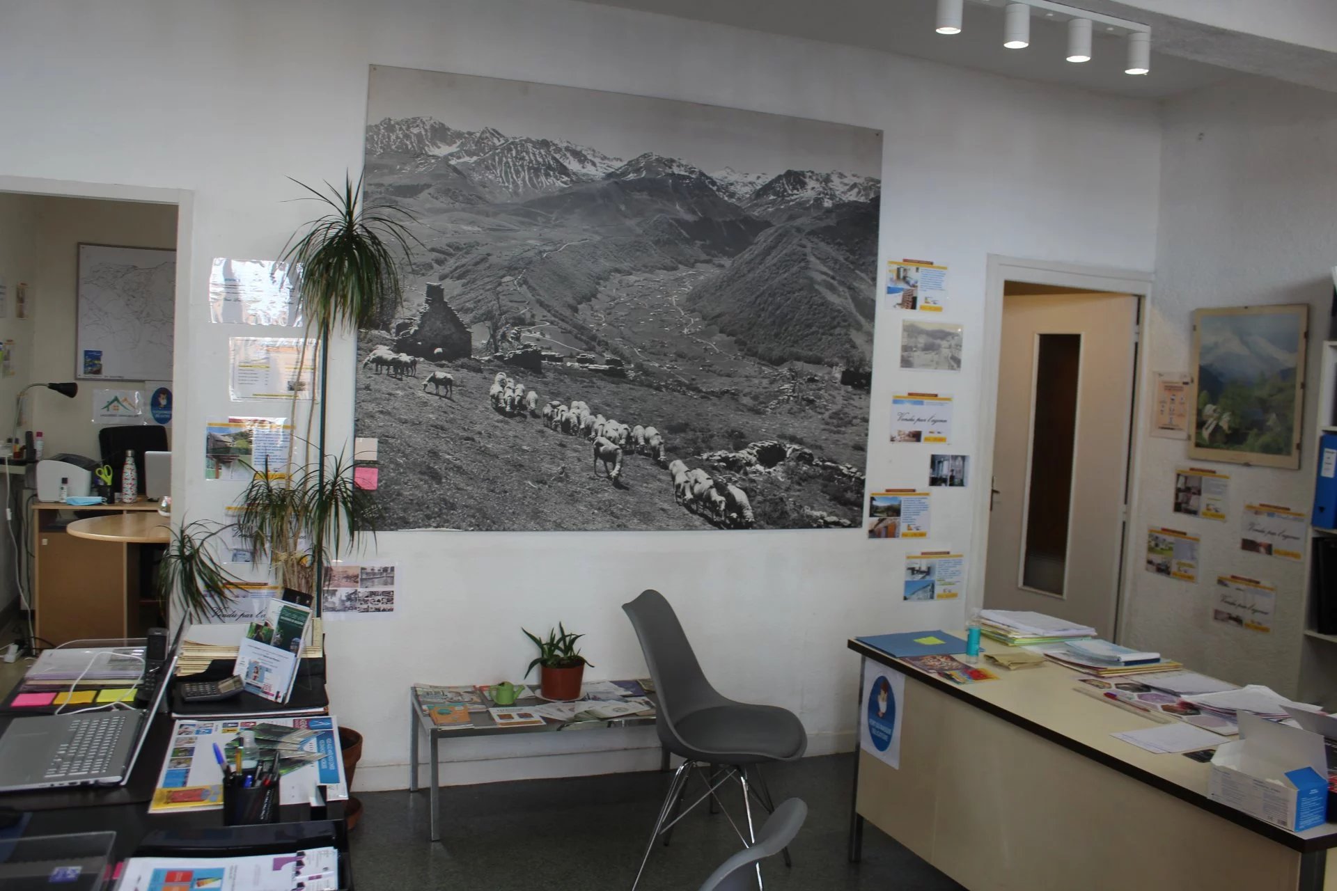 Laguerre Immobilier Laguerre Immobilier