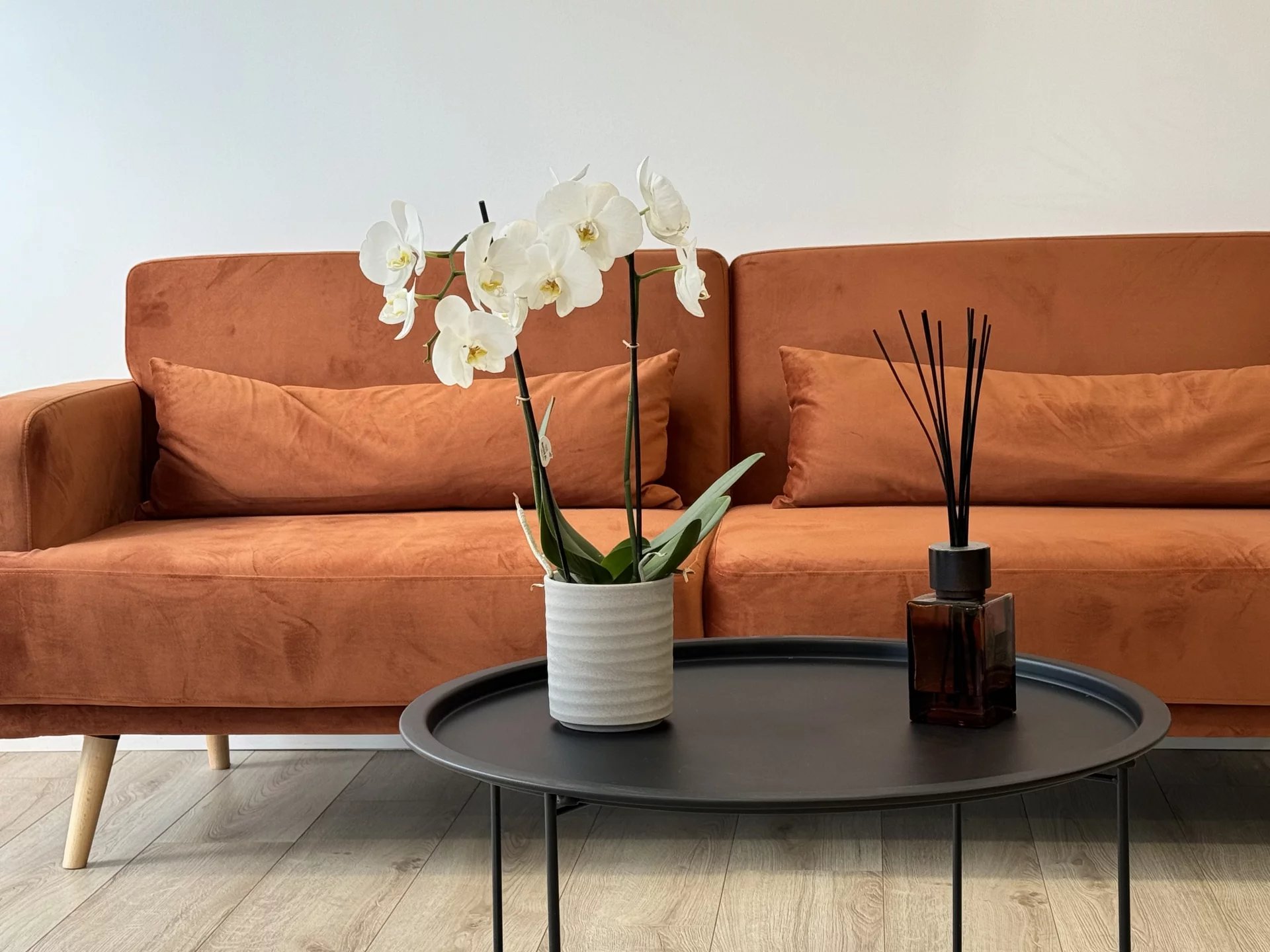 AGENCE GIUDICELLI IMMOBILIER