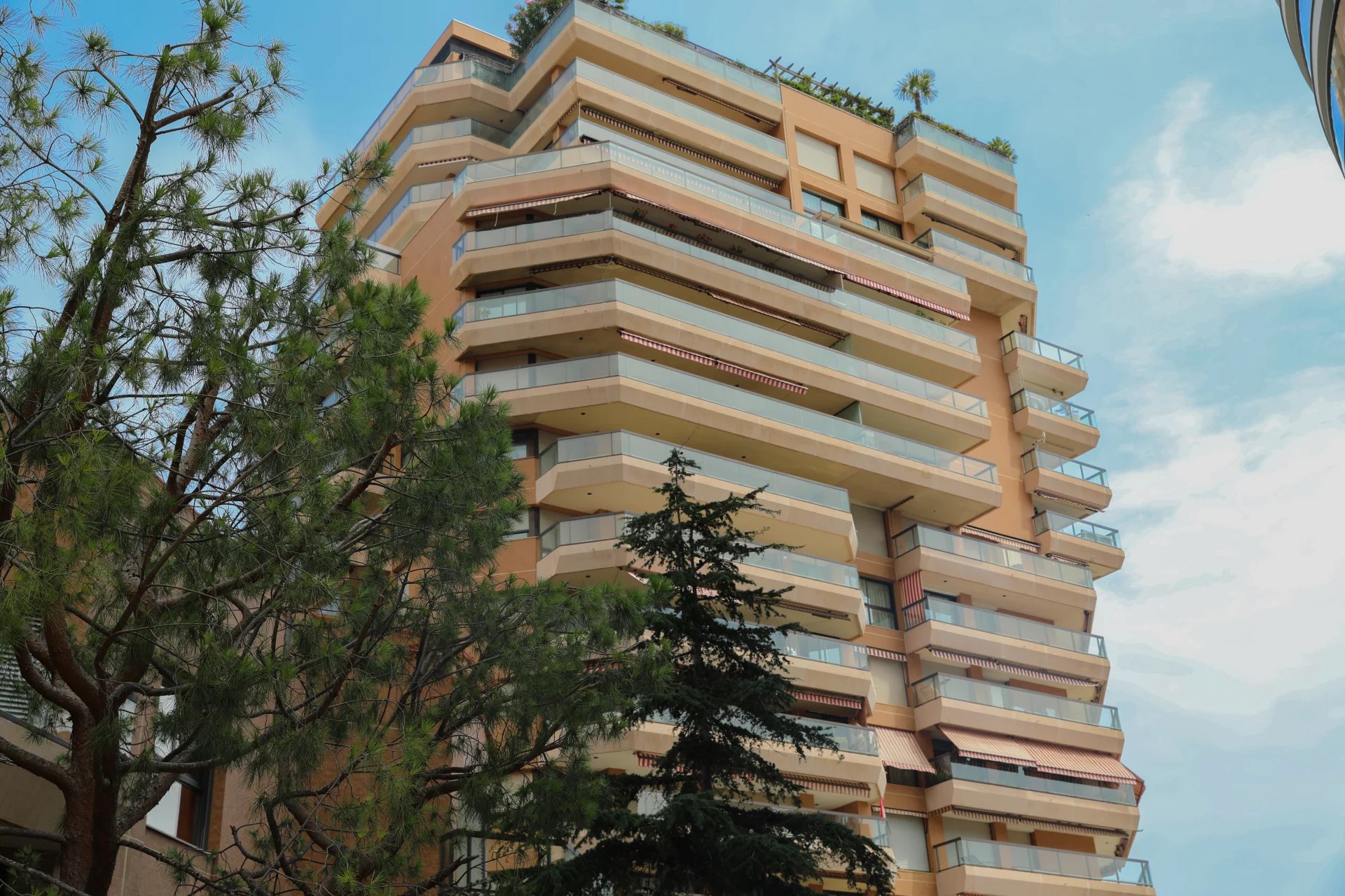 MONTE CARLO SUN