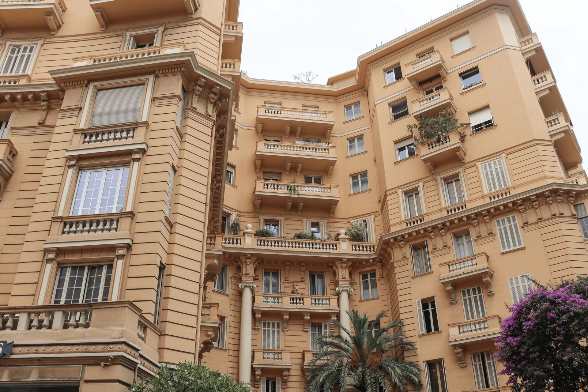 PALACE FRANZIDO