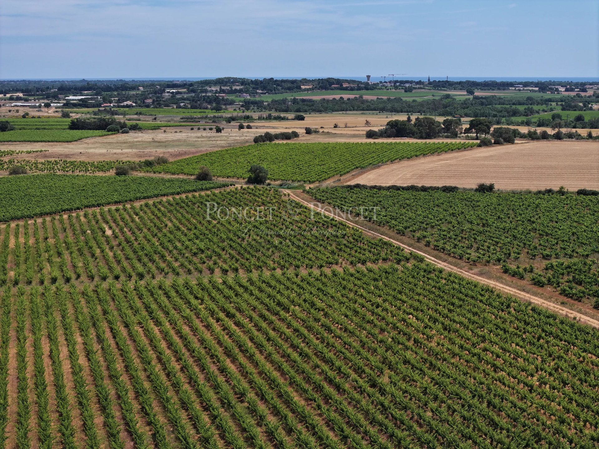 17 Bedroom Vineyard's Image 4