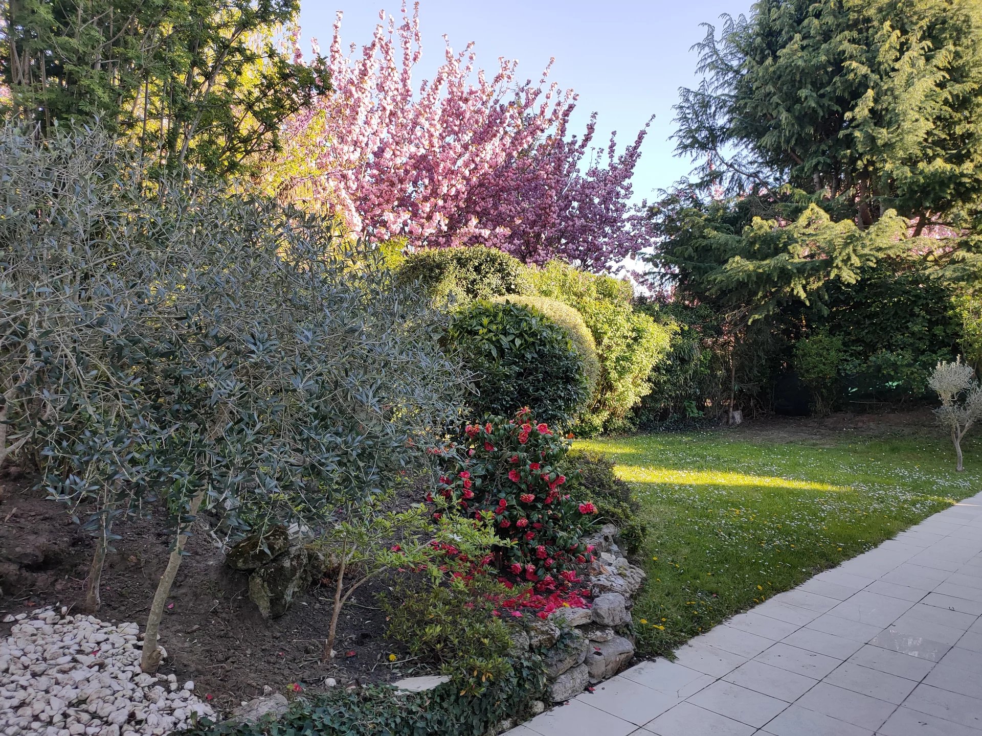 Image de la propriété 3