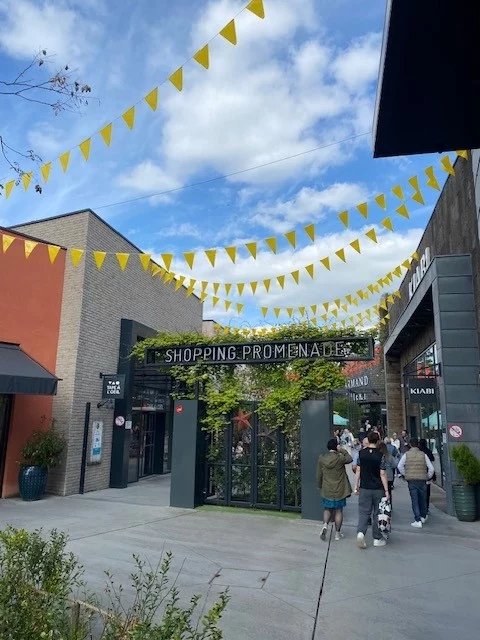 Bail à céder Shopping promenade cœur Alsace