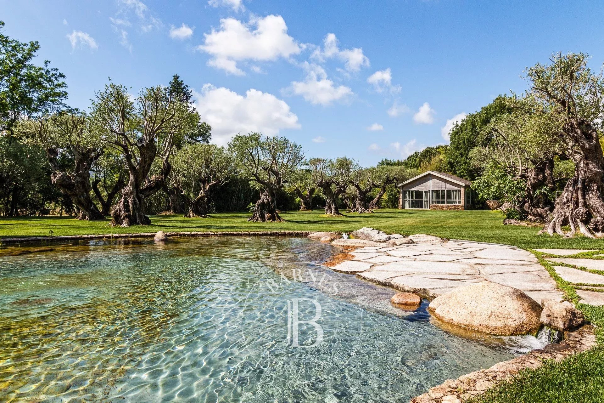 Villa Saint-Tropez  -  ref 2671157 (picture 1)
