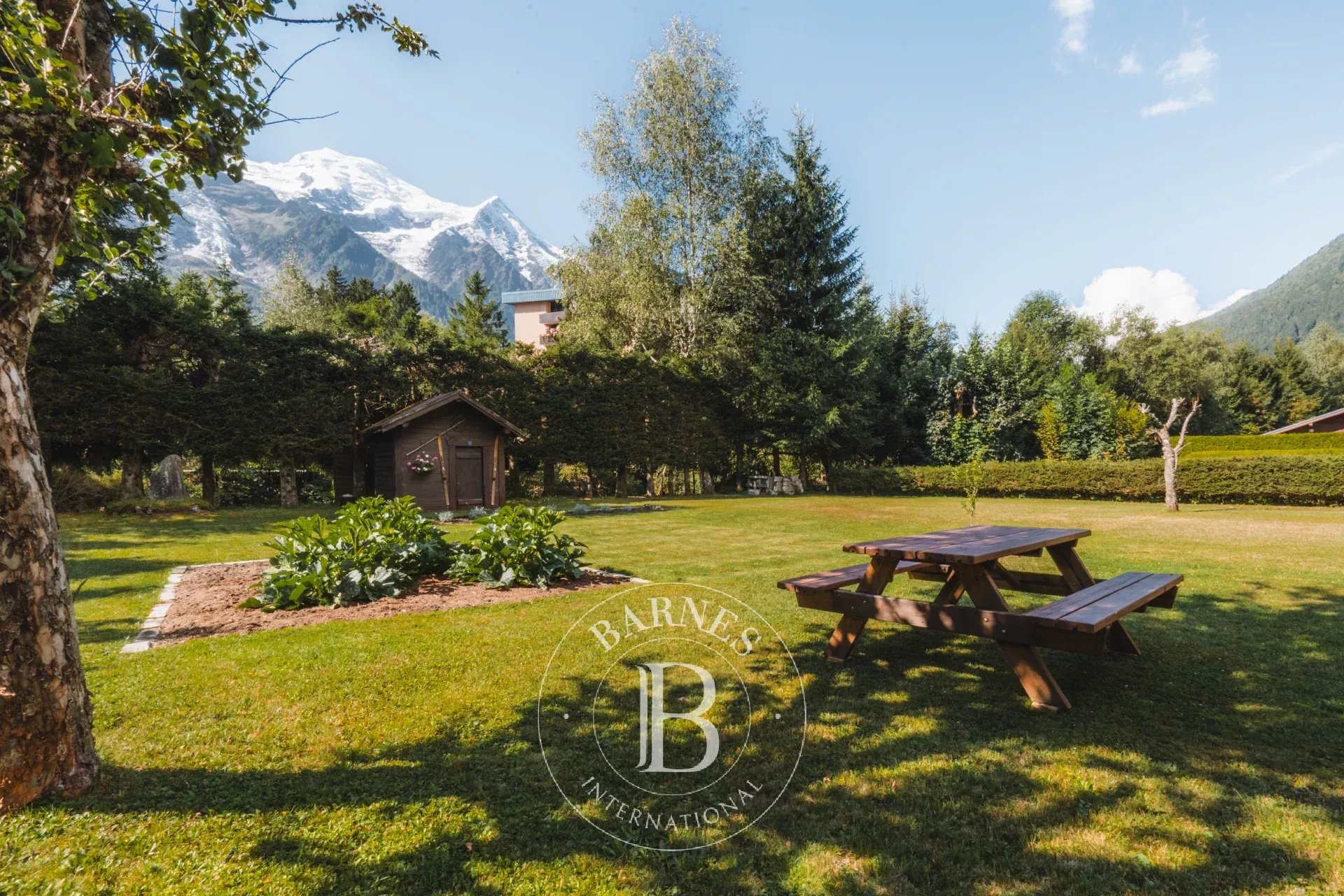 Dağ evi Chamonix-Mont-Blanc - picture 7