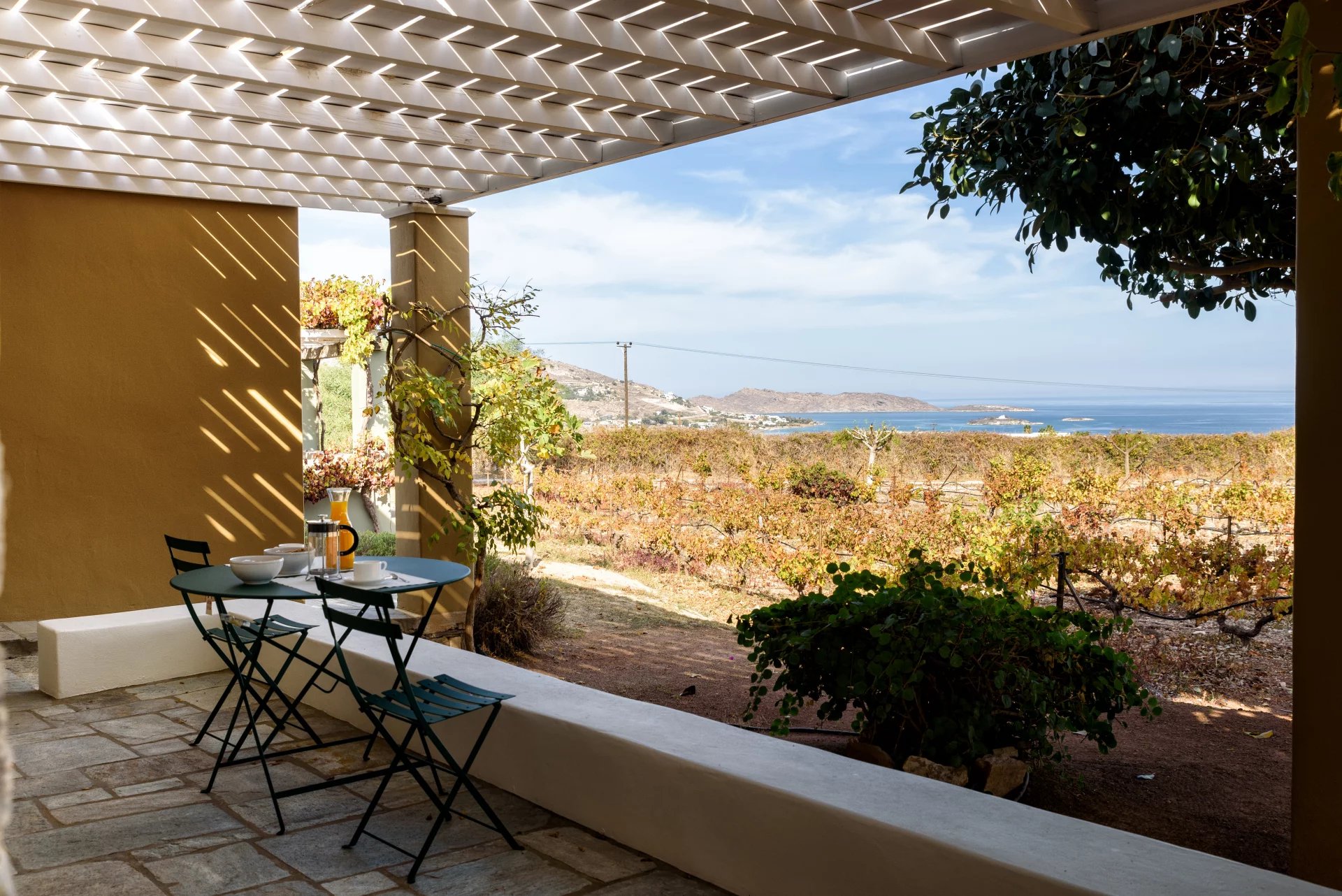 Image de la propriété 6