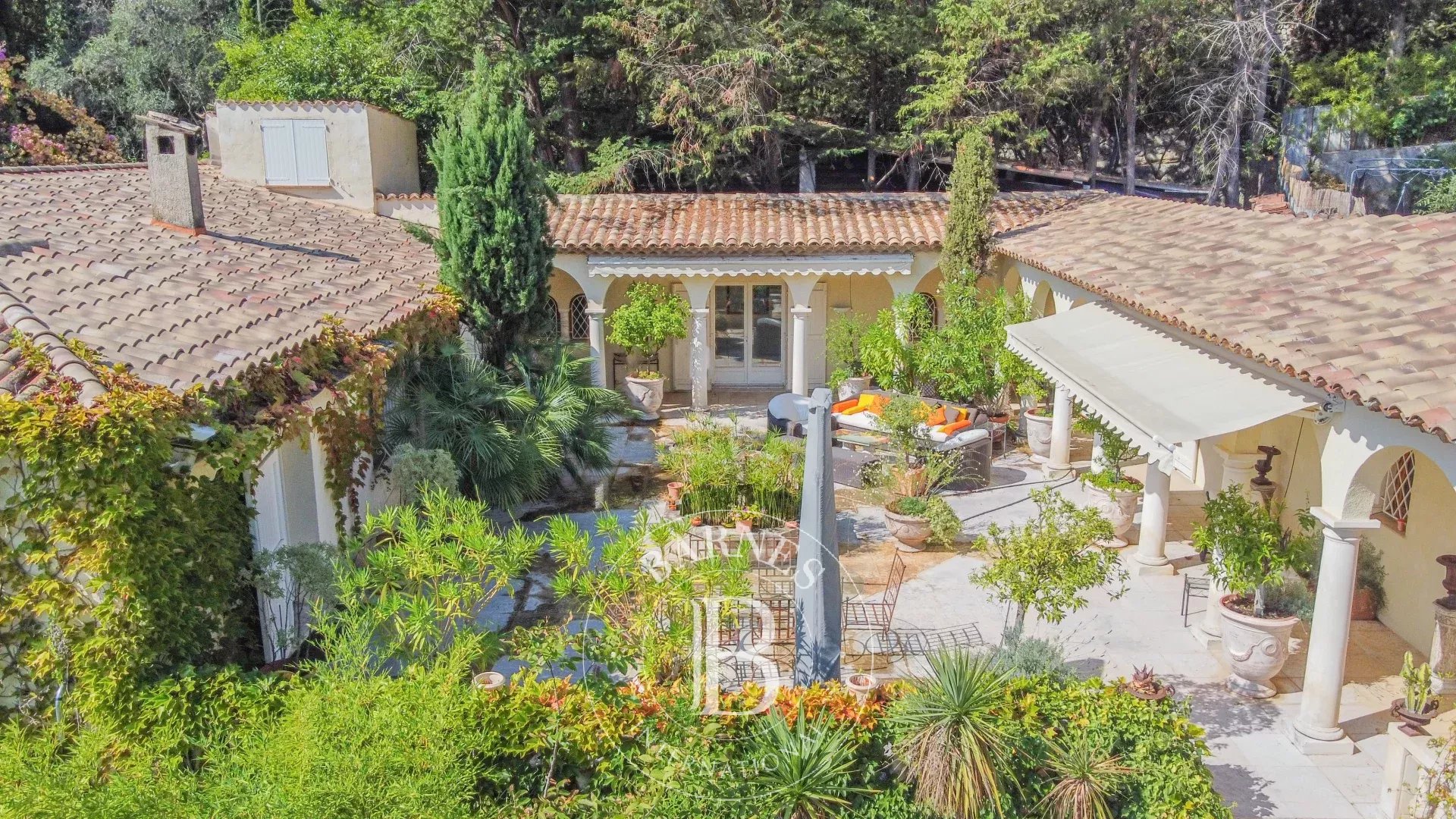 Ev Grasse - picture 10