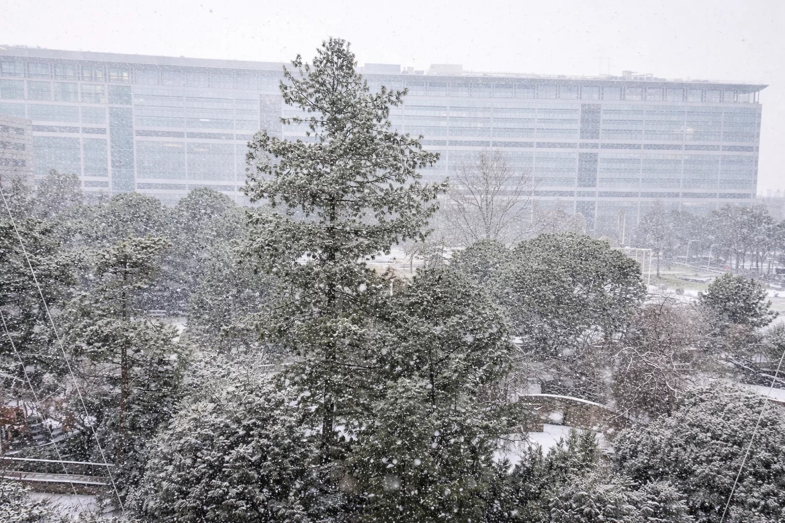 Vente Appartement - Paris 14ème Plaisance