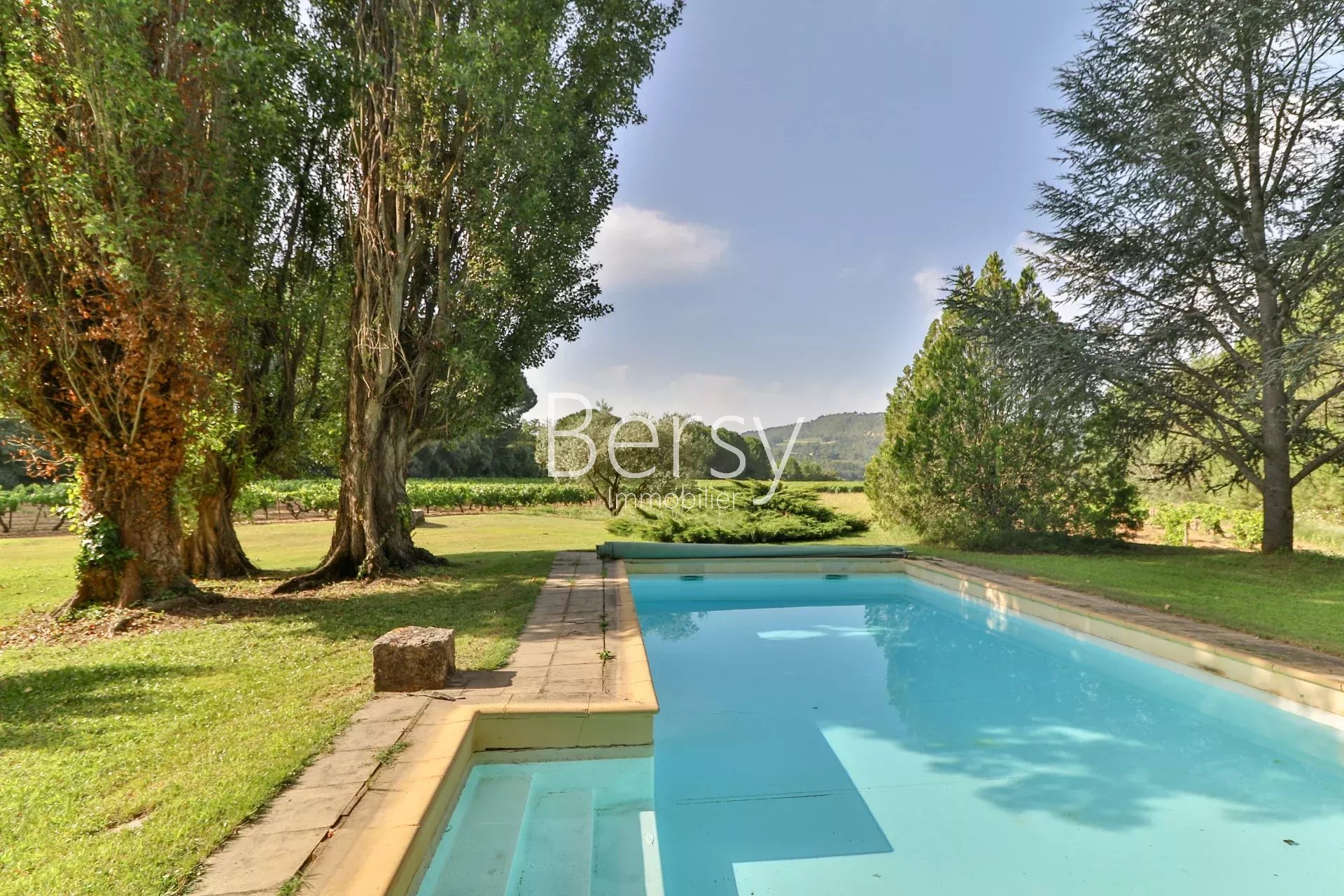★Magnifique Bastide sur un Parc de 2 Hectares★ Entouré de Vignes et Jardins Paysagers avec Piscine★ Garage et Appartement indépendant★ - Photo 5