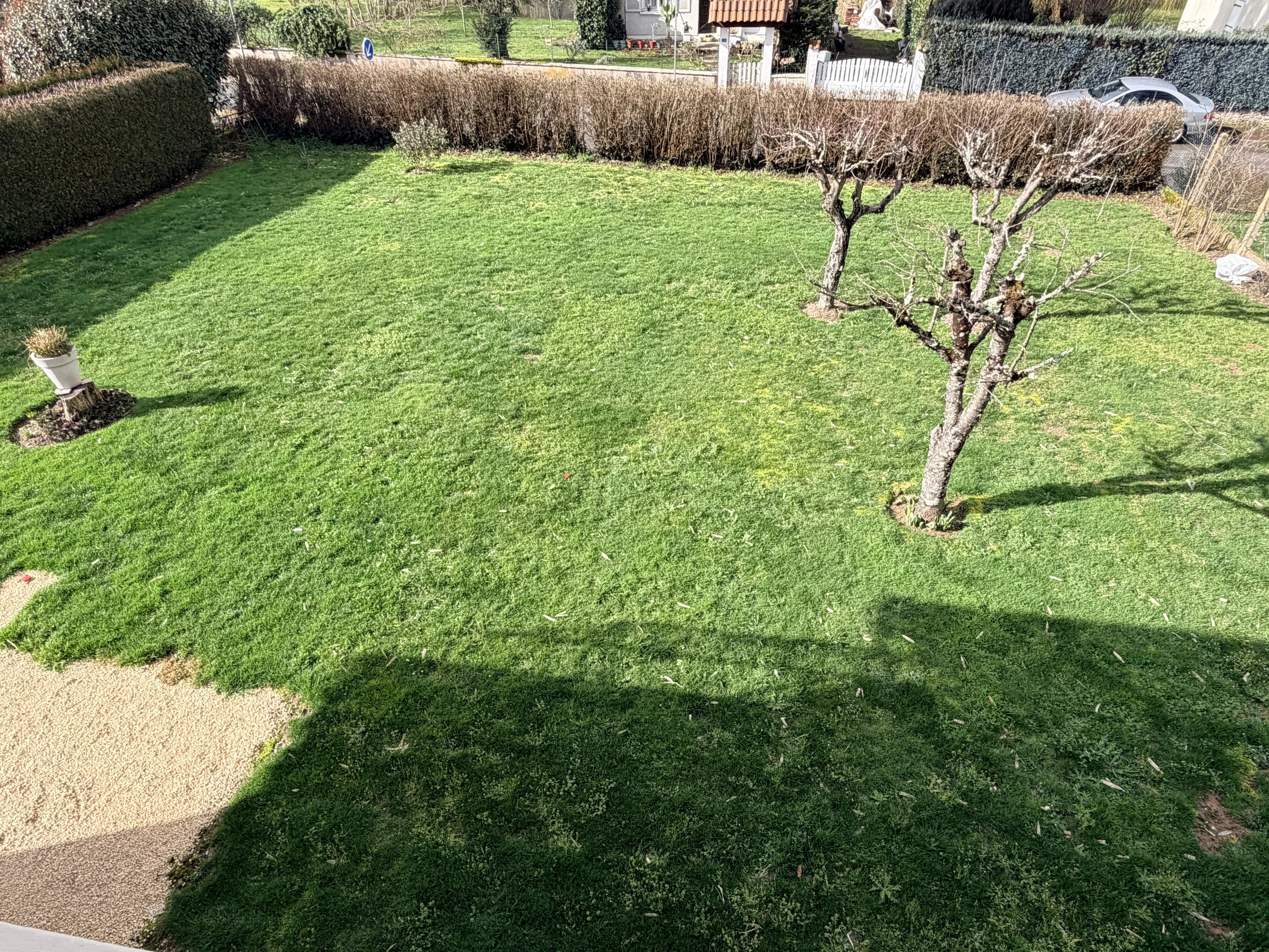 House in Blond - Image 2