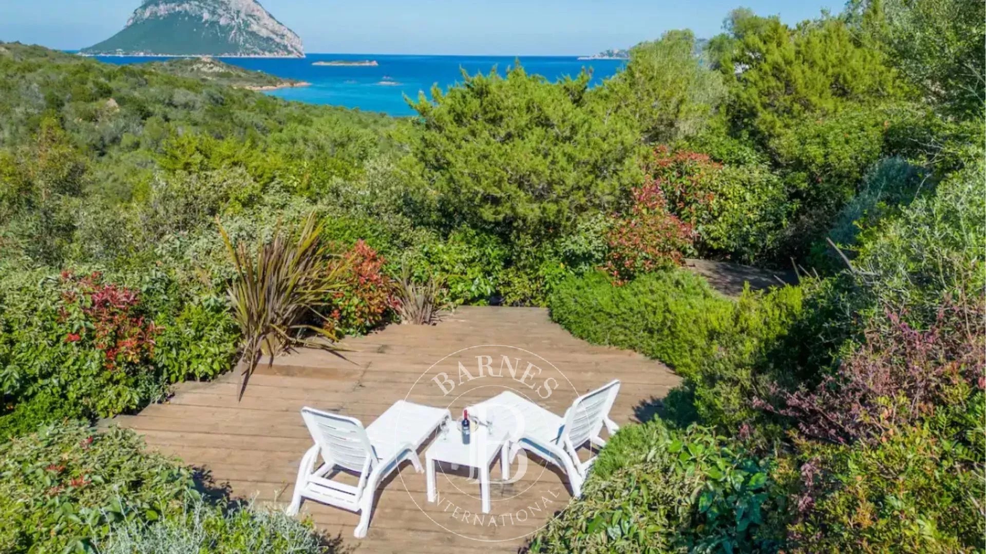 Villa Loiri Porto San Paolo  -  ref 84858813 (picture 3)