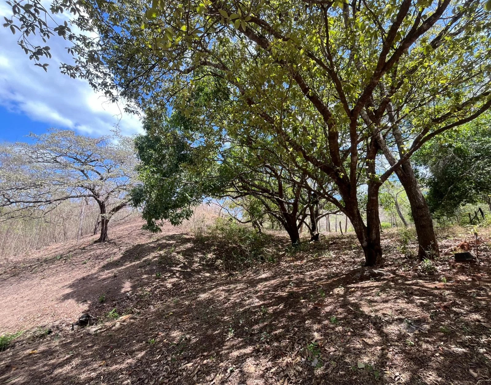 Venta Terreno residencial  Cabo Velas