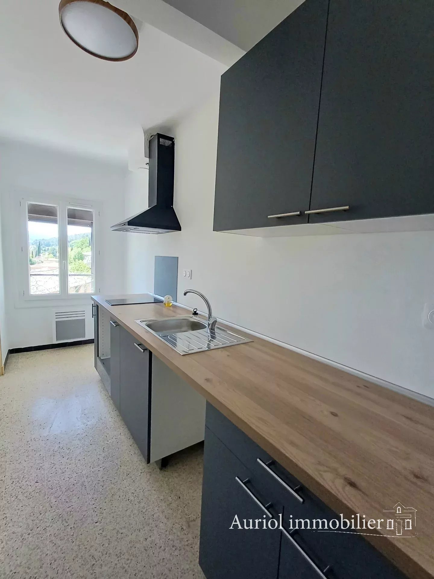 Location Appartement Auriol