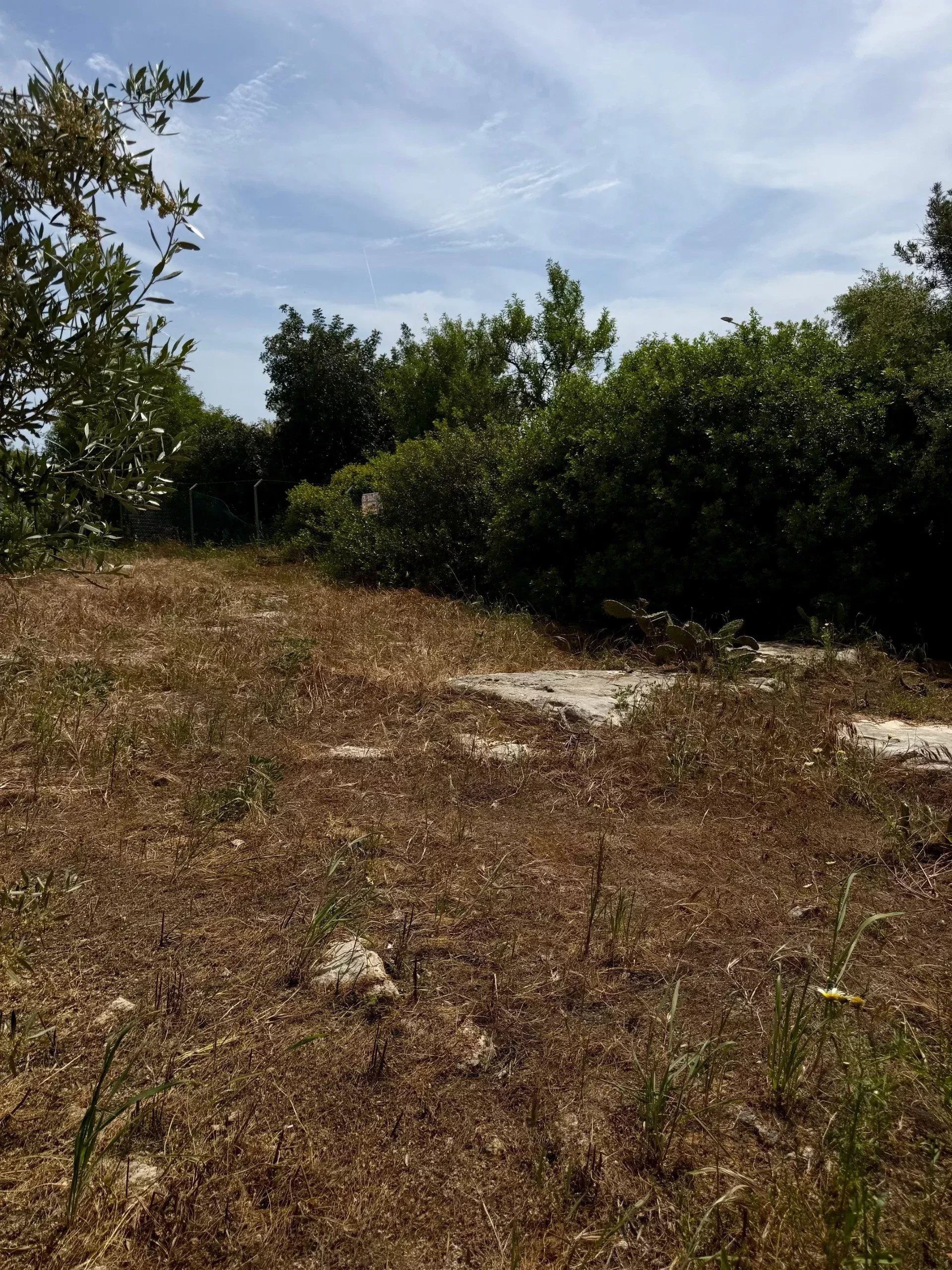 600 m² Residential Land in Moncarapacho e Fuseta 86962874 image 4