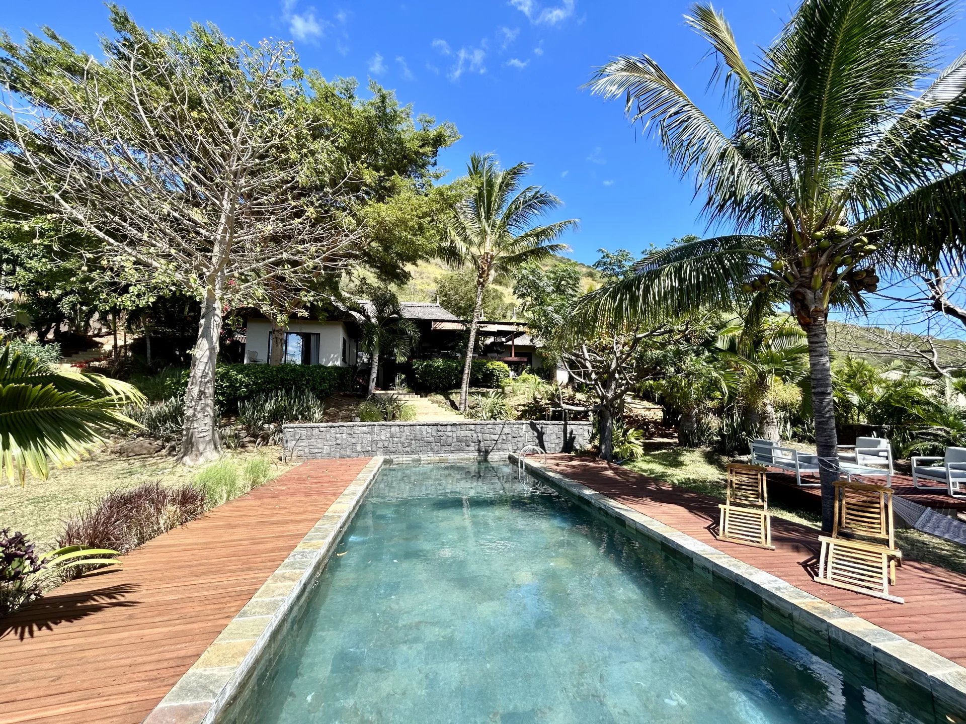 Ev Tamarin - picture 14