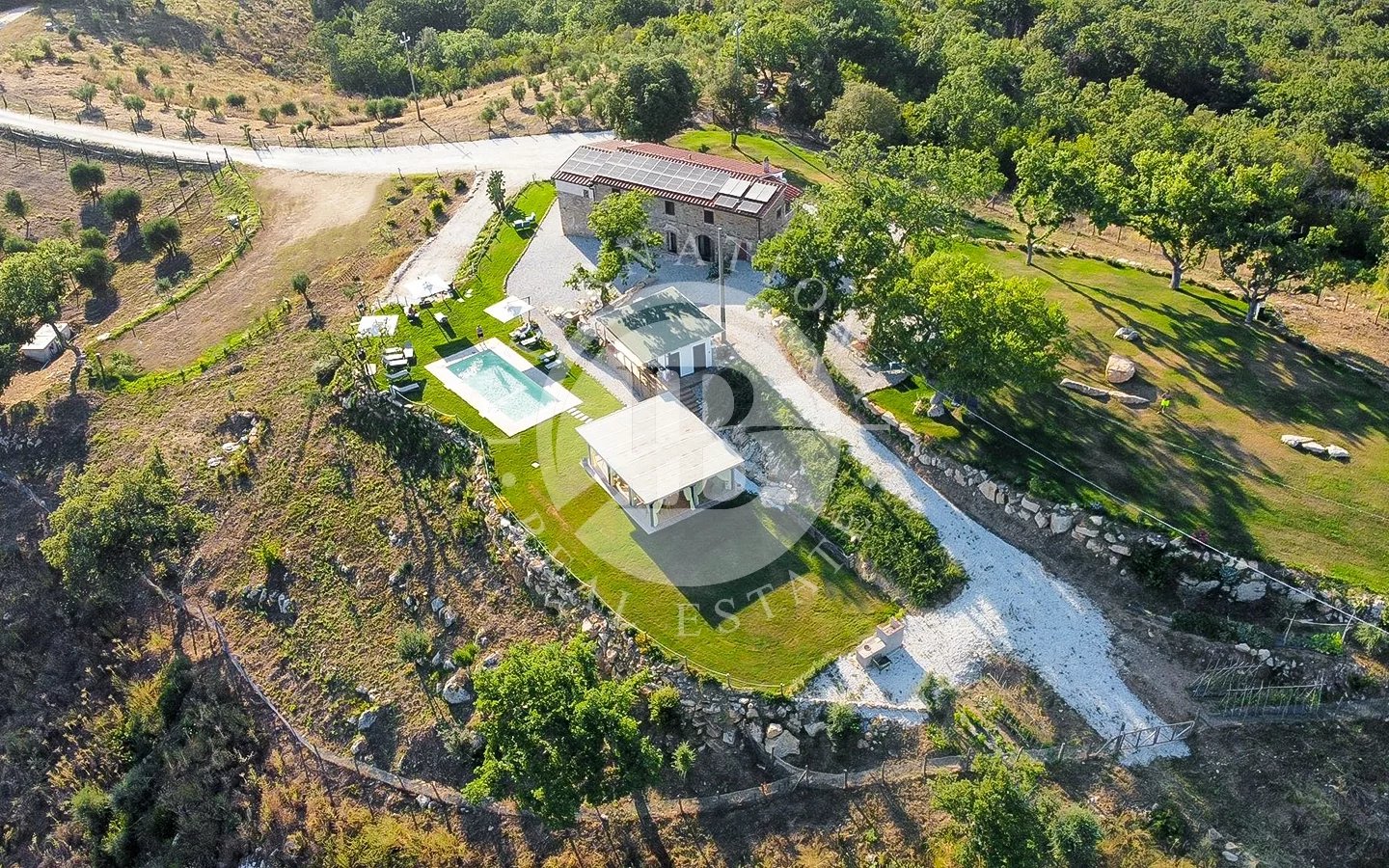 House in San Lorenzo - Image 3