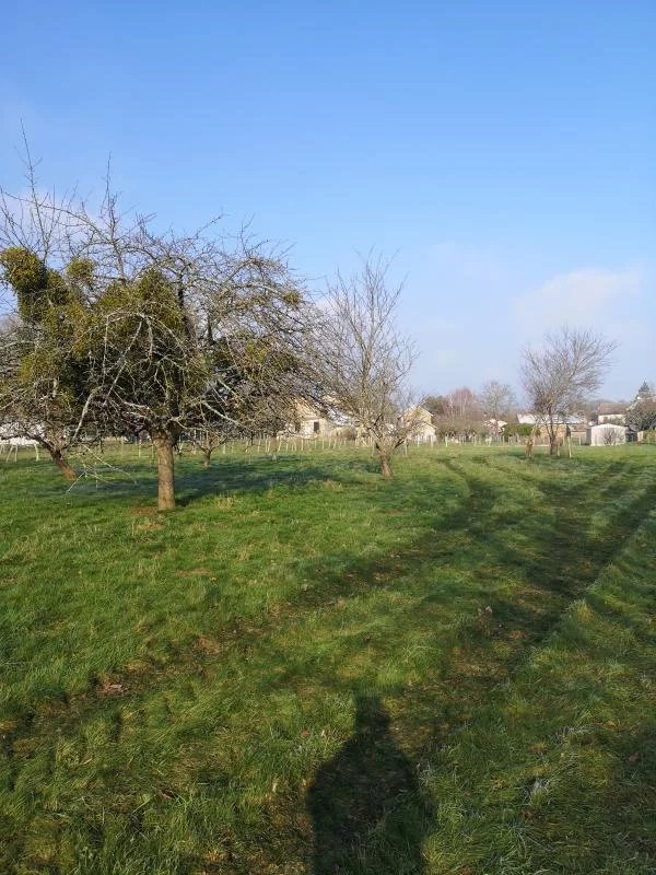 Vente Terrain Poligny