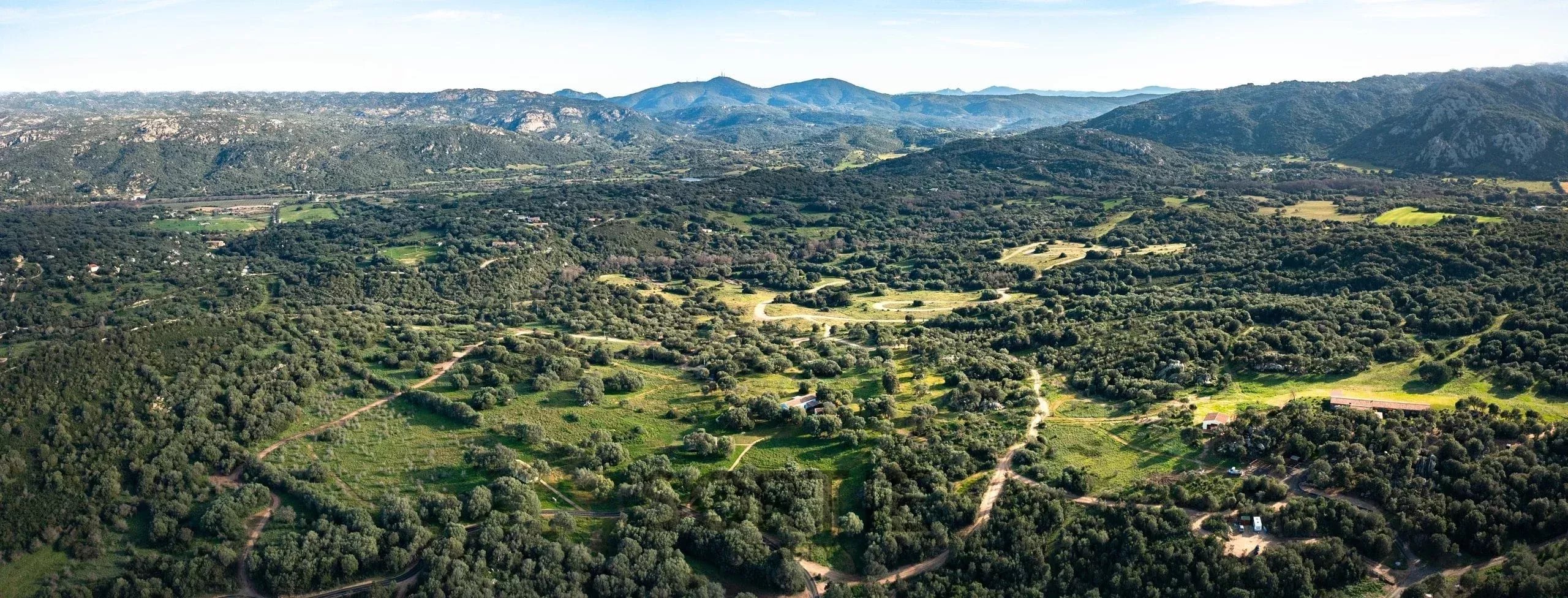 Agence immobilière de Sortie Realty