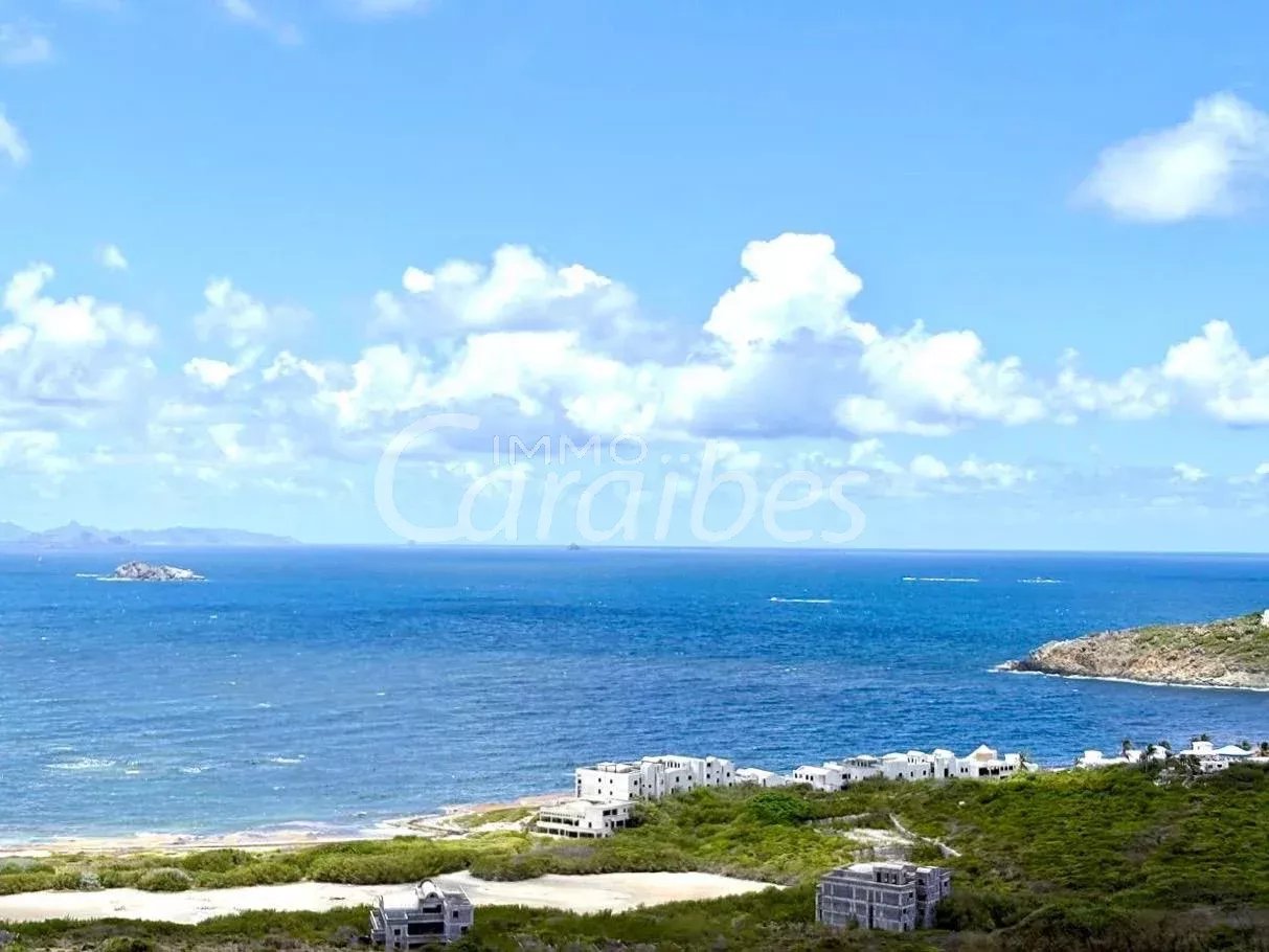 Agence immobilière de Immo Caraïbes