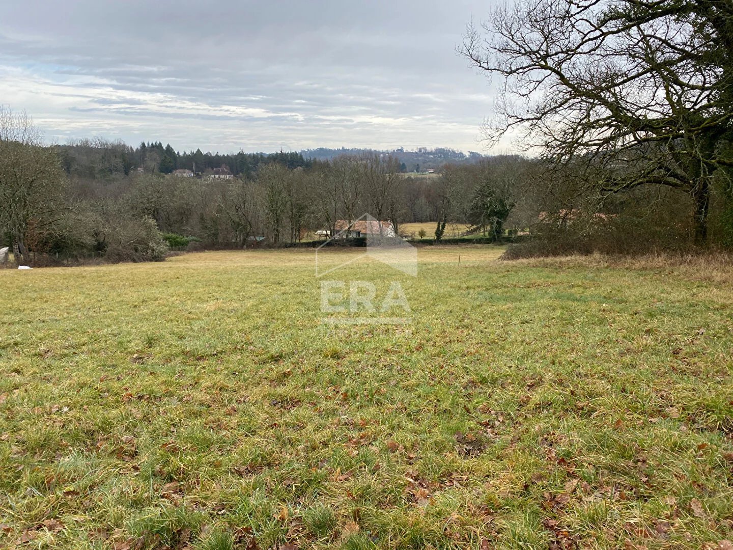 Vente Terrain Trélissac