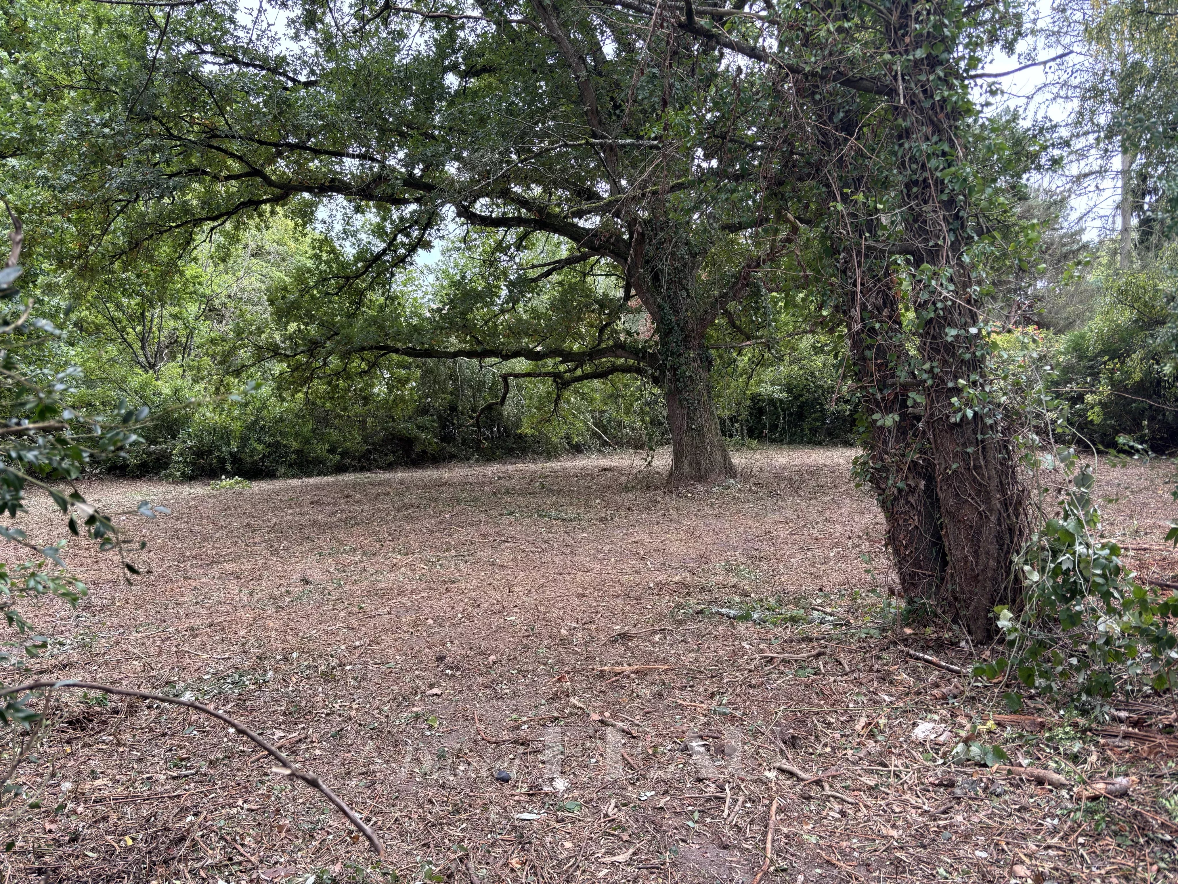 Vente Terrain Montfort-l'Amaury