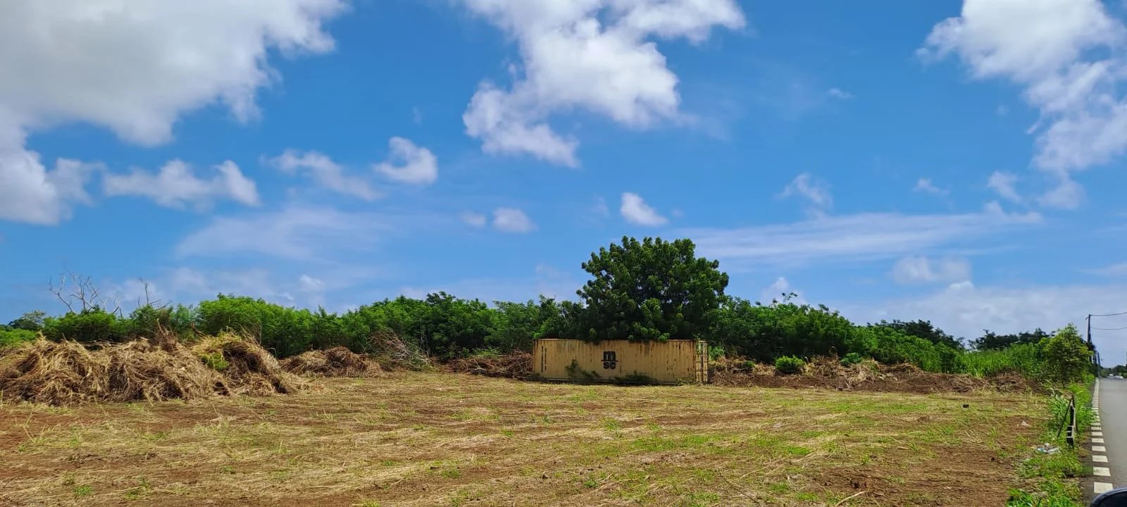 Terrain en vente.