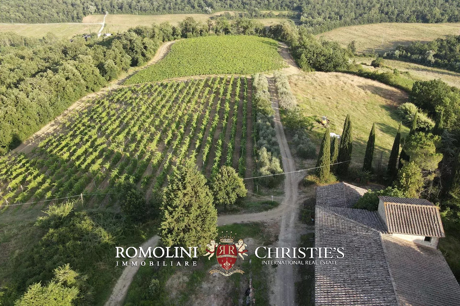 15 Bedroom Vineyard's Image 4