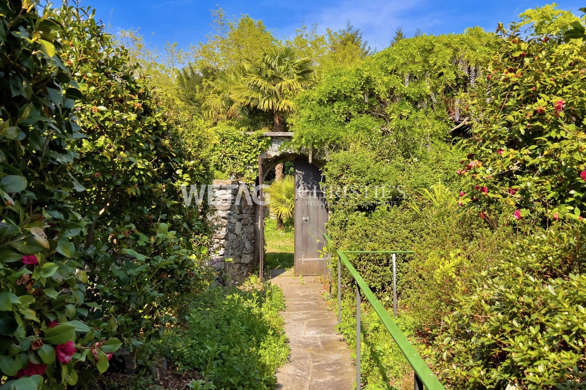 Land/Vacant Land's Image 6