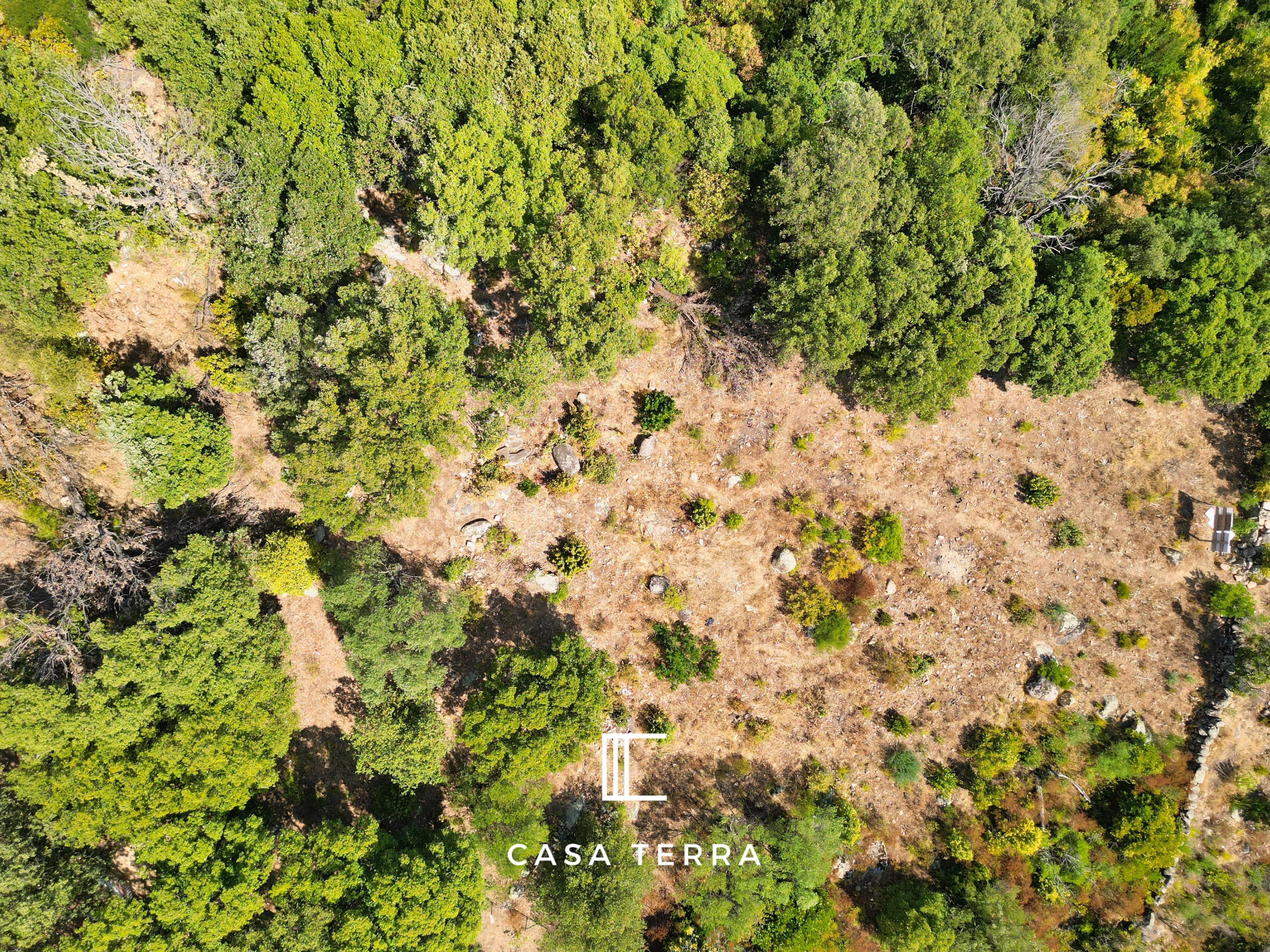 FRAGNU – Terrain à bâtir avec vue mer / Porto-Vecchio - Photo 5