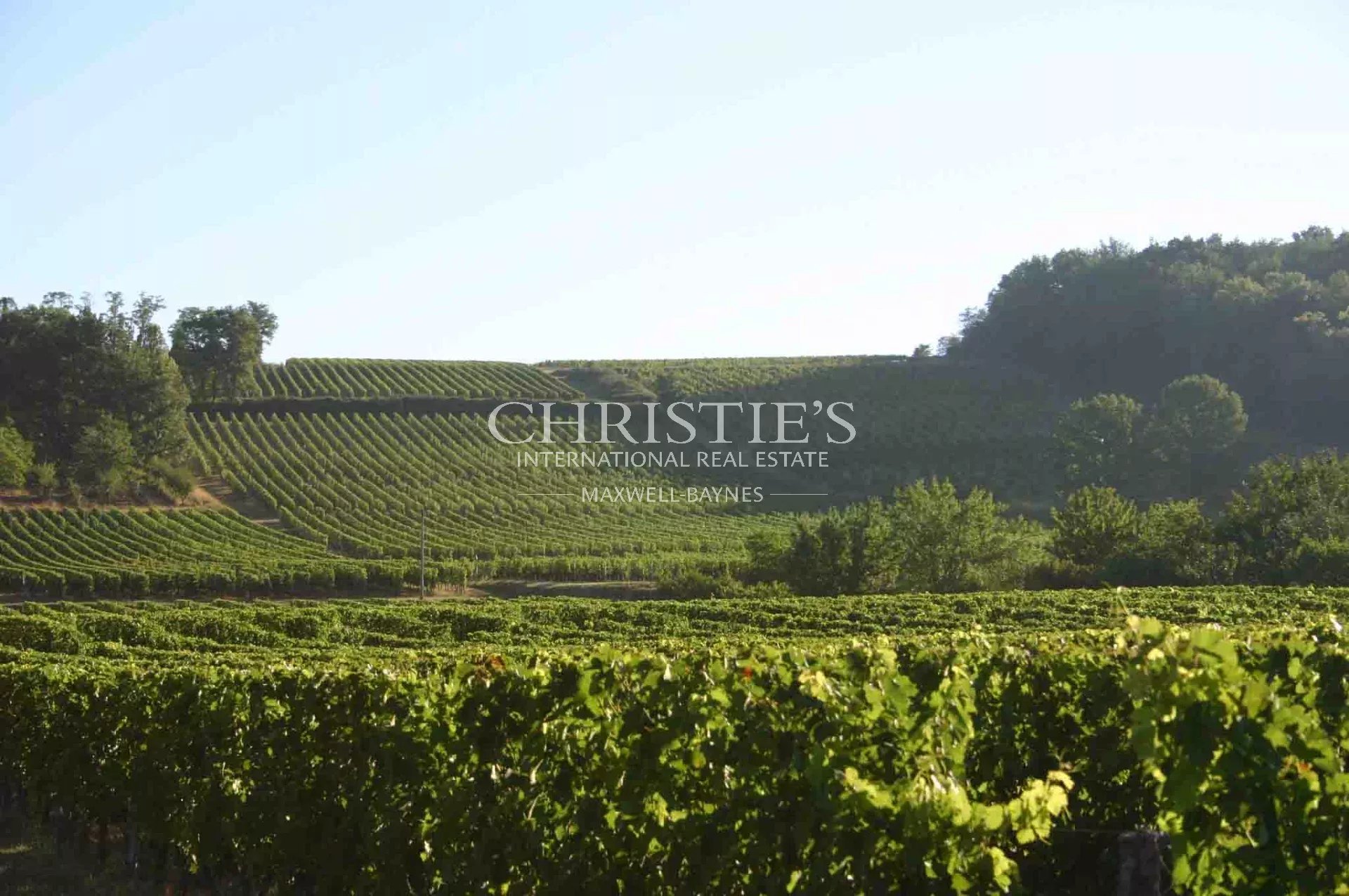 6 Bedroom Vineyard's Image 4
