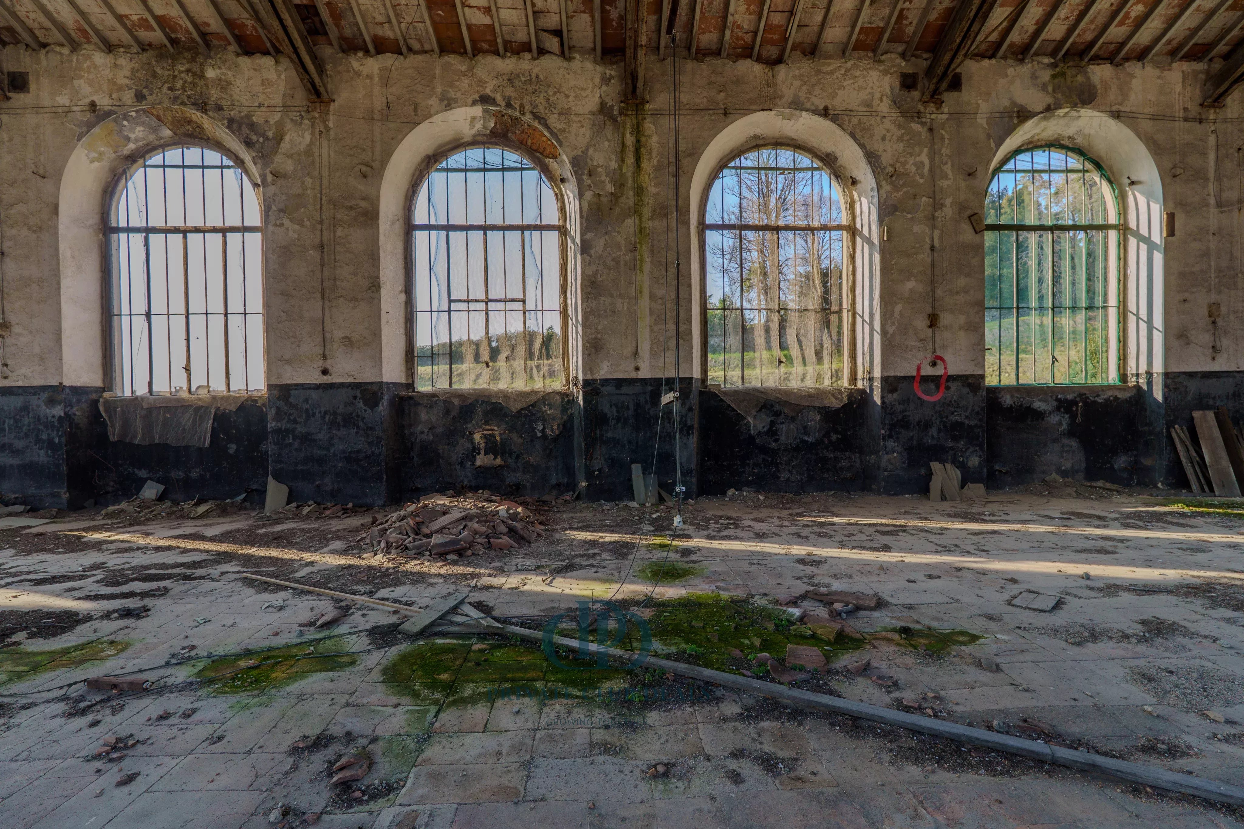 Depo Ello - picture 8