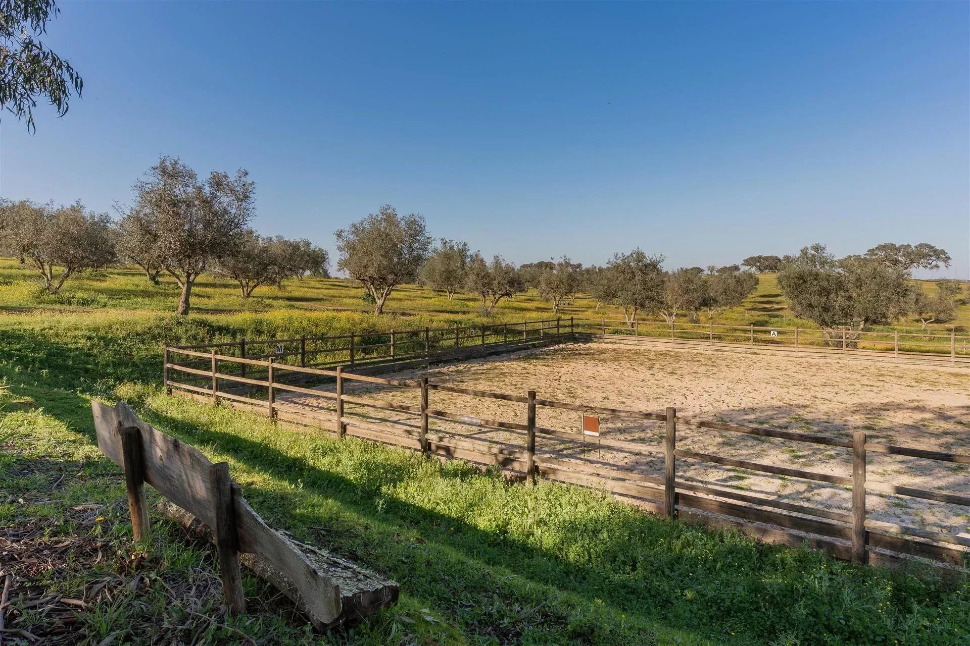 Private Estate - Equestrian Centre 86637172 image 48