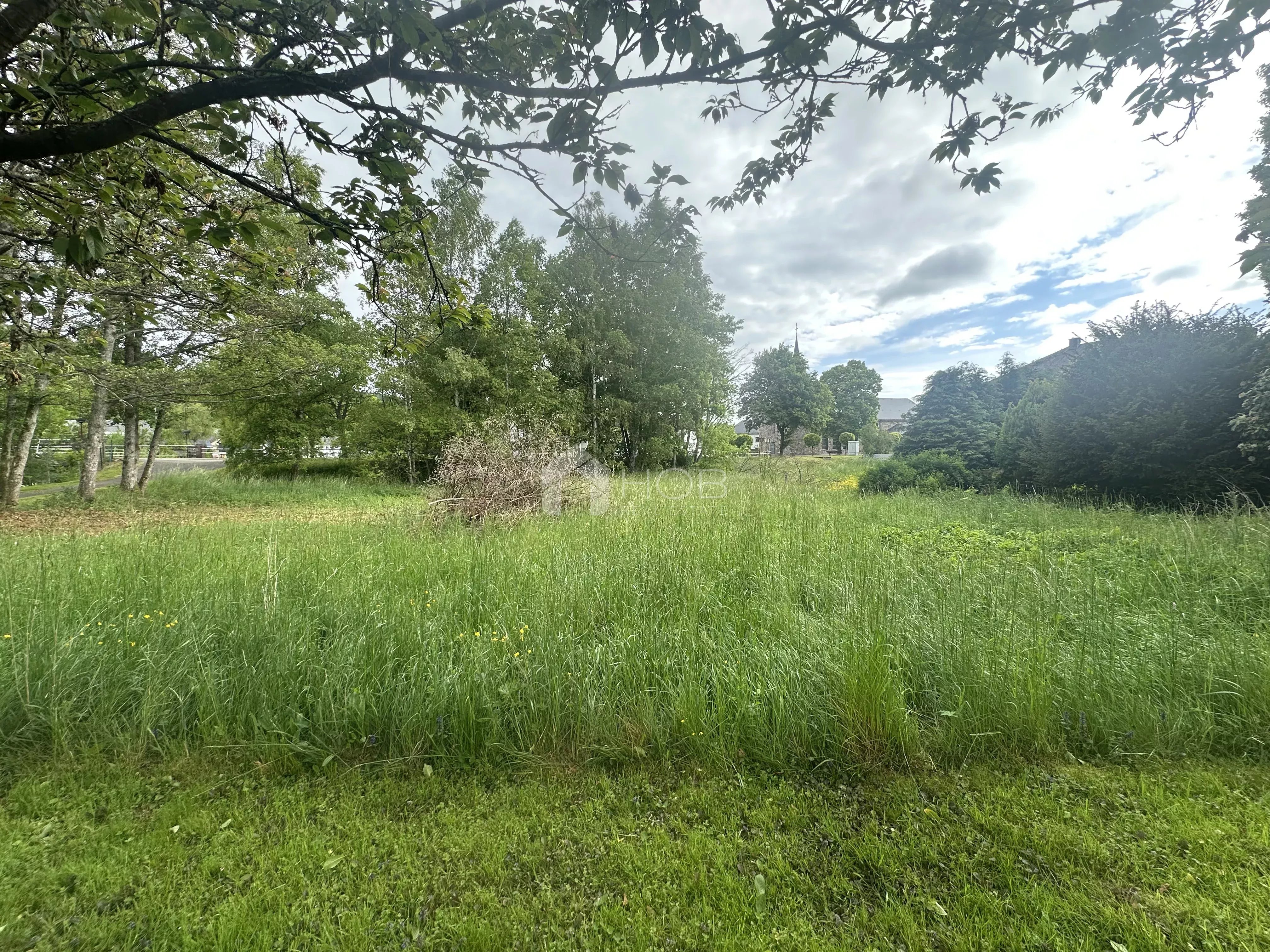 Grundstück zum Verkauf in Schönberg