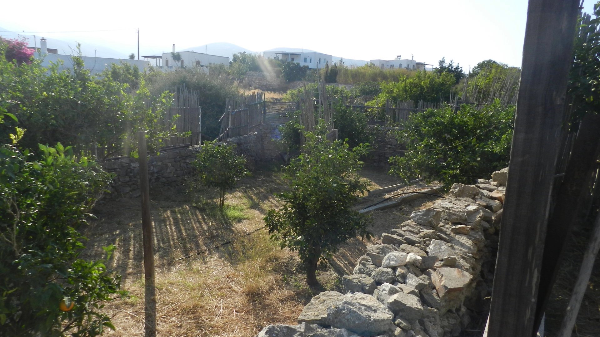 Εικόνα ιδιοκτησίας 4