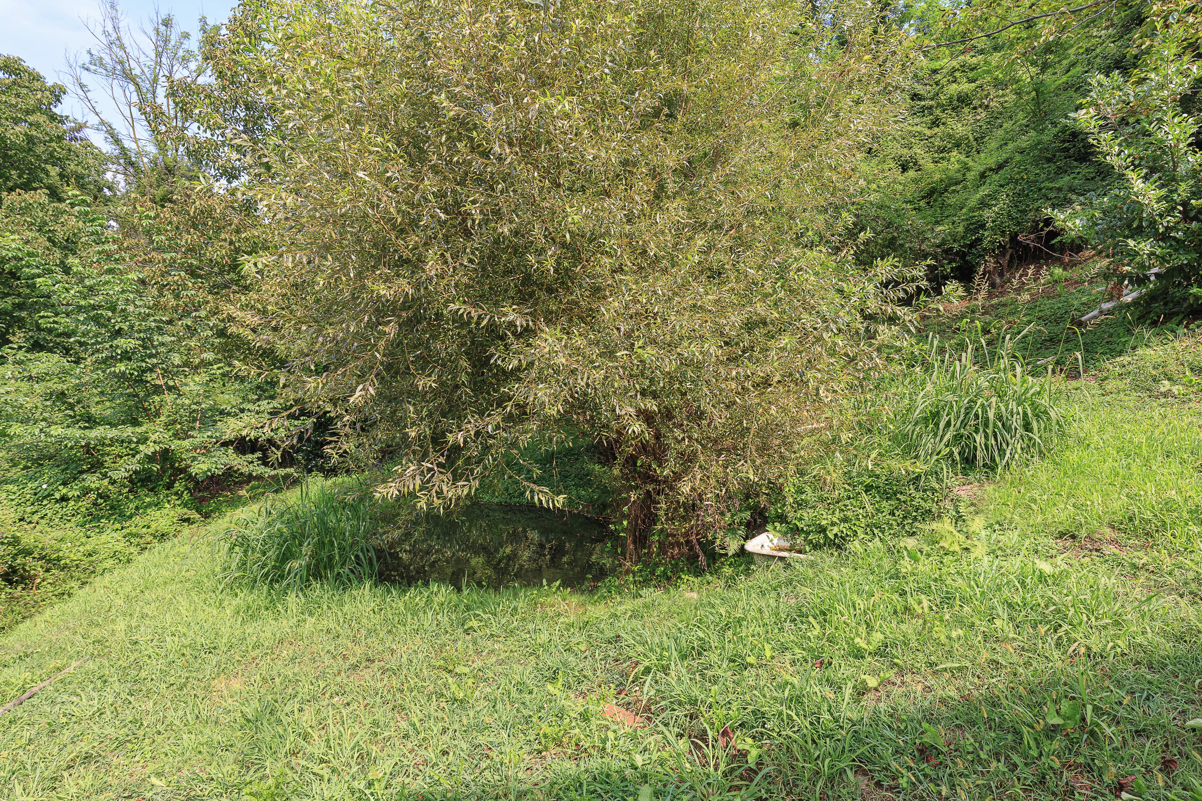 вилла с видом на озеро - picture 40