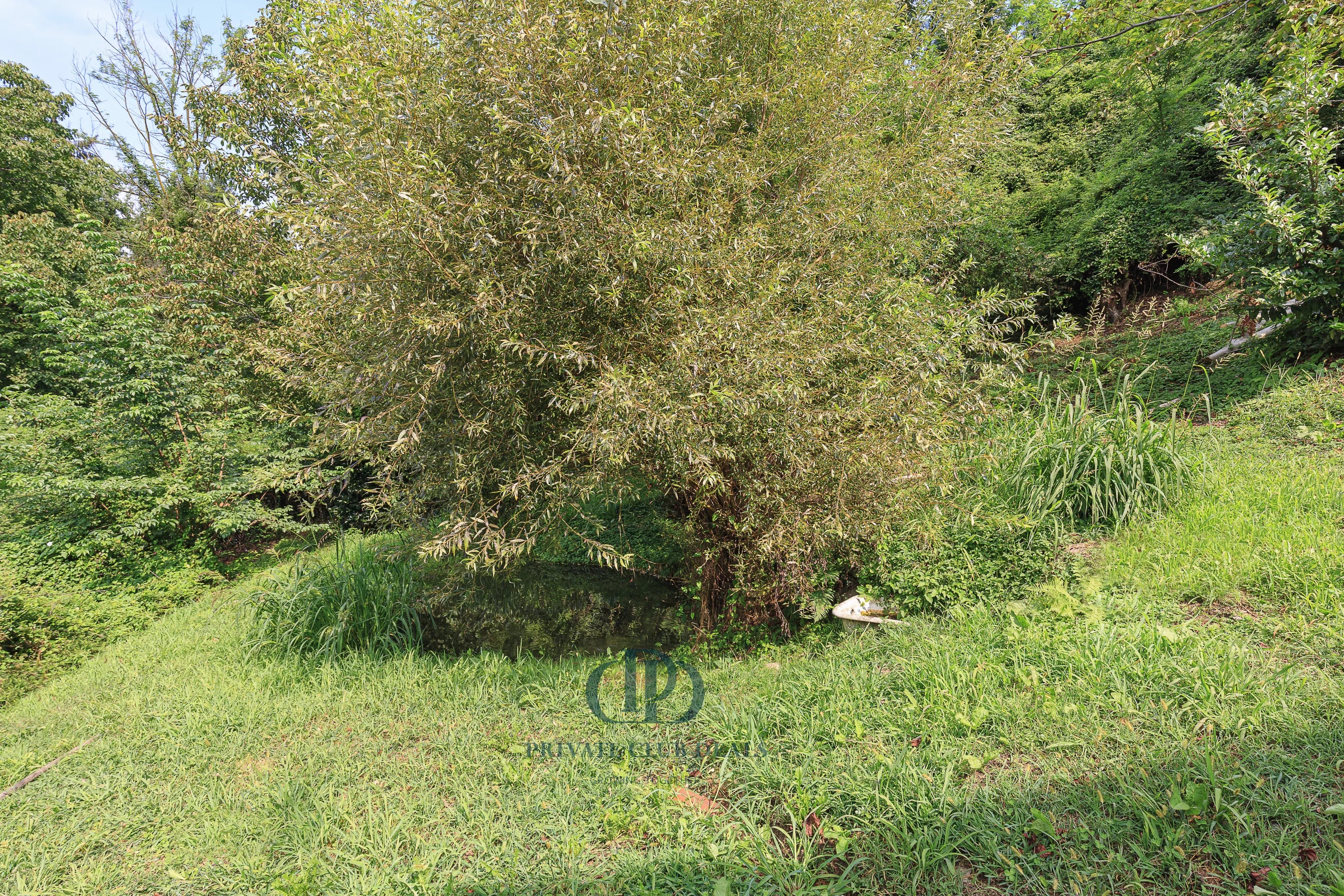 Villa Dumenza - picture 40