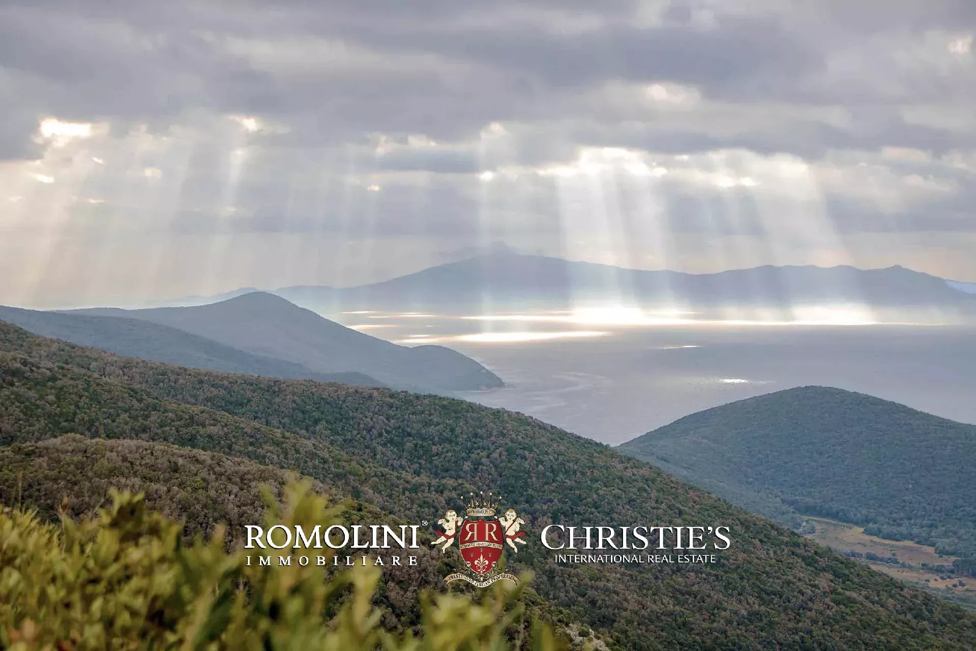 324-HA HUNTING RESERVE WITH DEVELOPMENT PROJECT FOR SALE IN MAREMMA, TUSCAN COAST