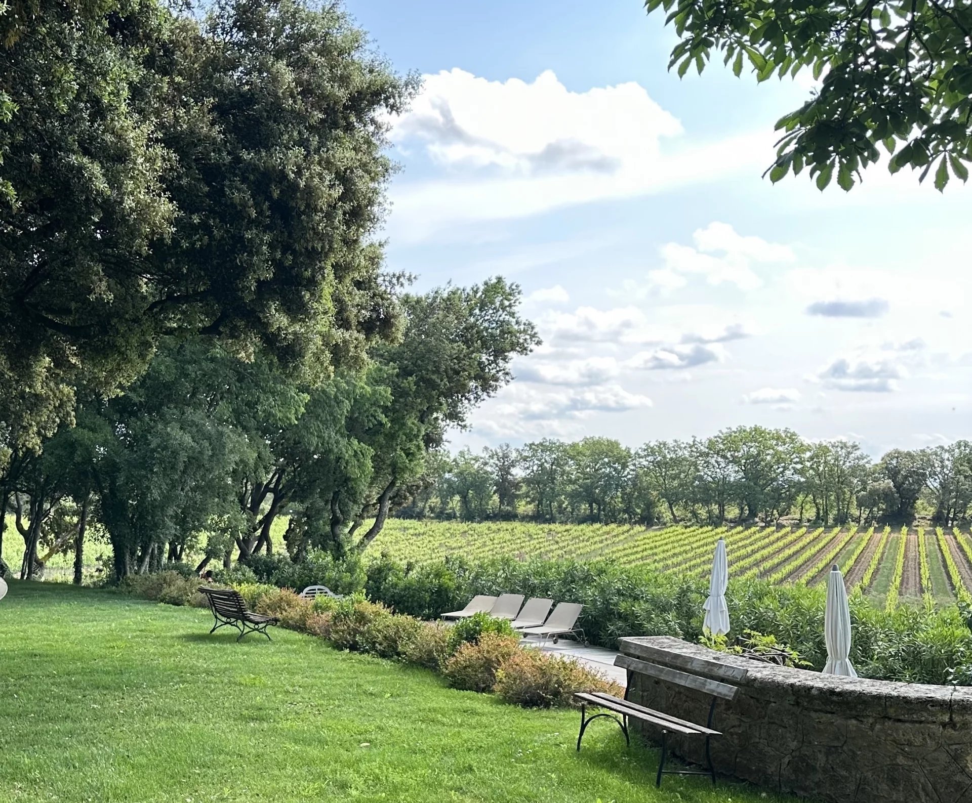 Sale Vineyard property Aix-en-Provence