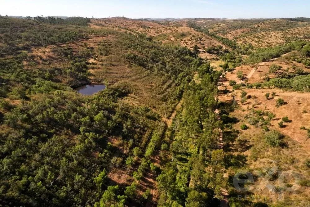 City Center Property Portimão 350 m from Beach 2.8 Km 85506834 image 11