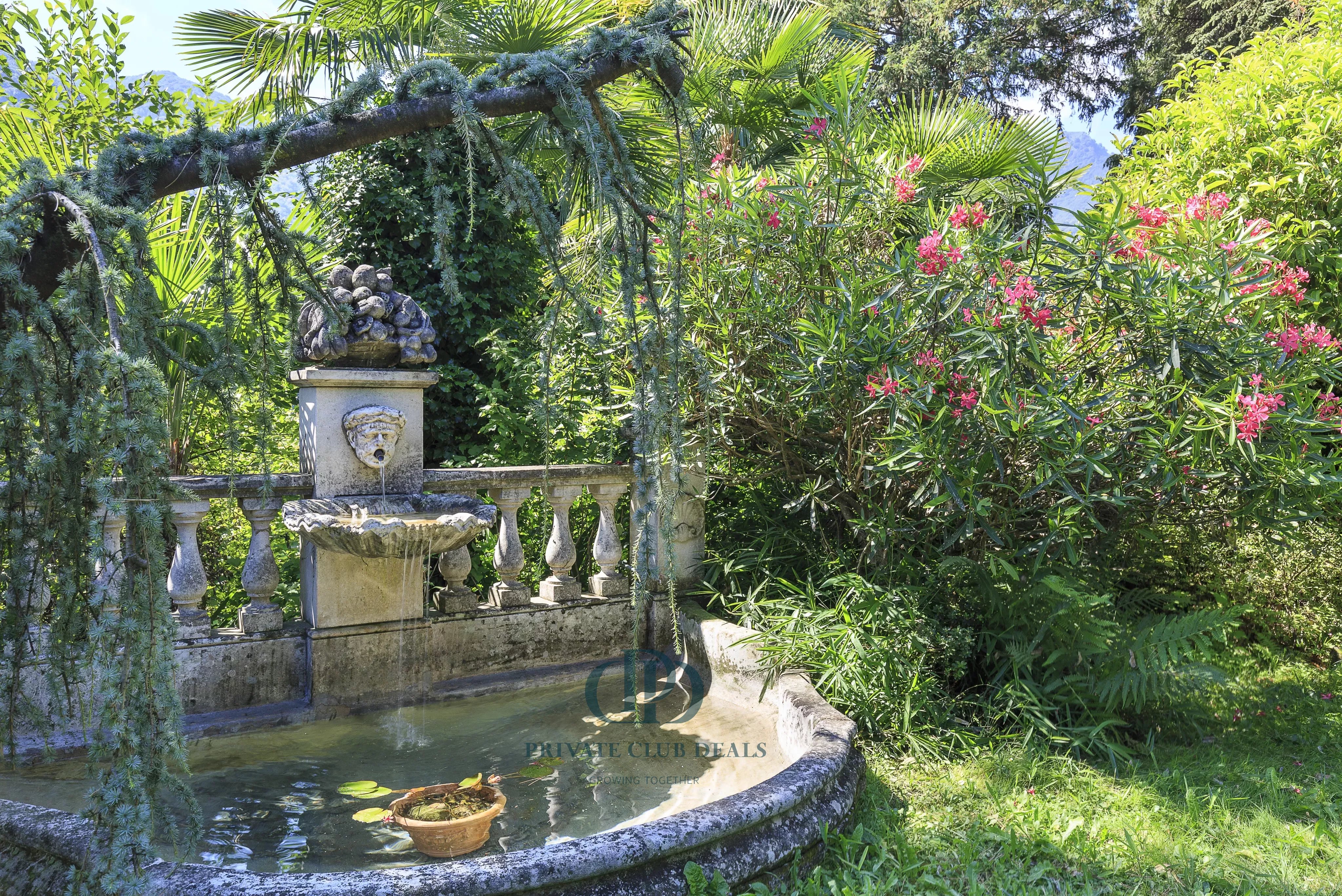 Villa Dizzasco - picture 10