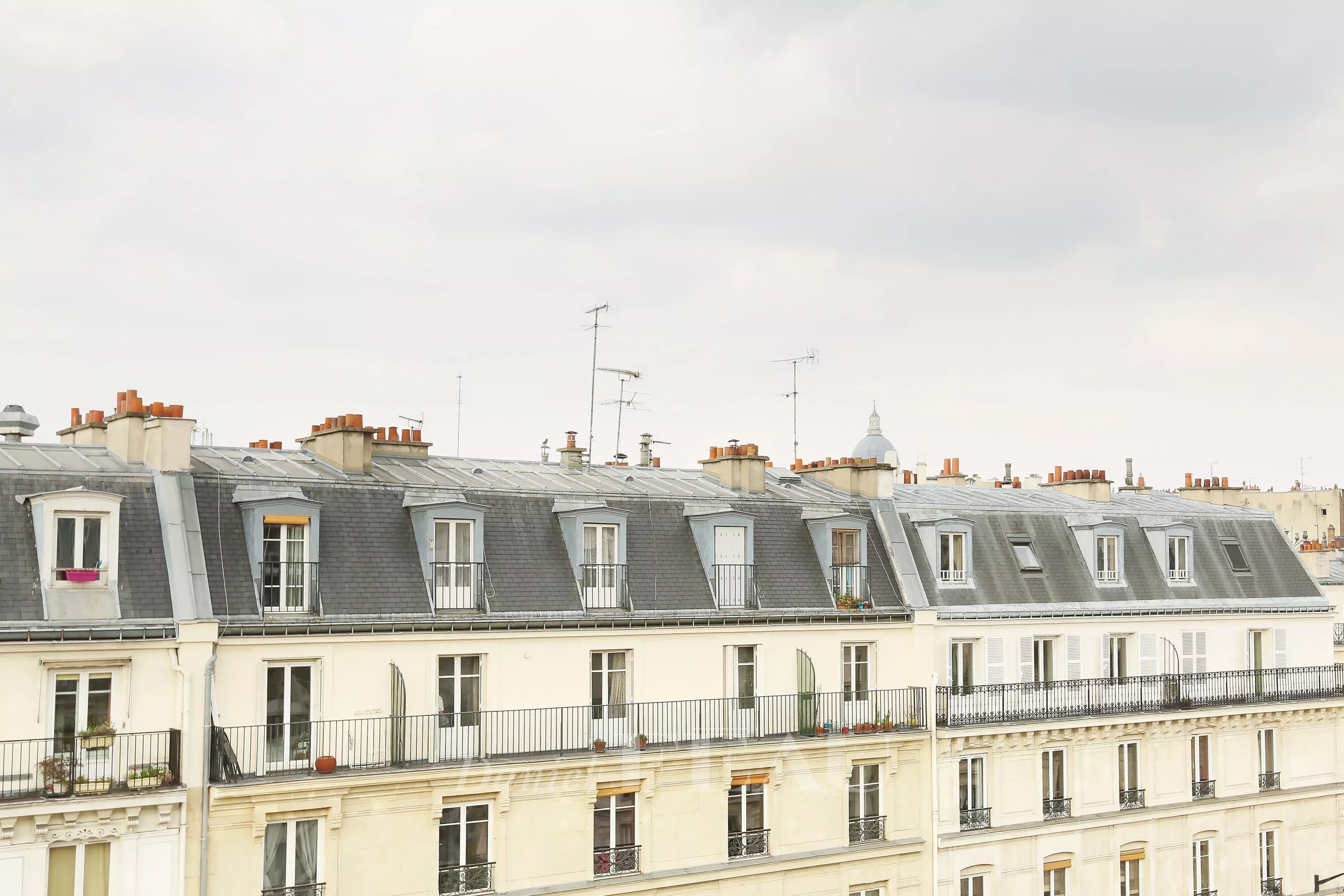 Rental Apartment Paris 5th