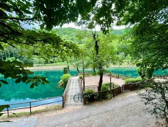 Malikane Valganna - picture 29